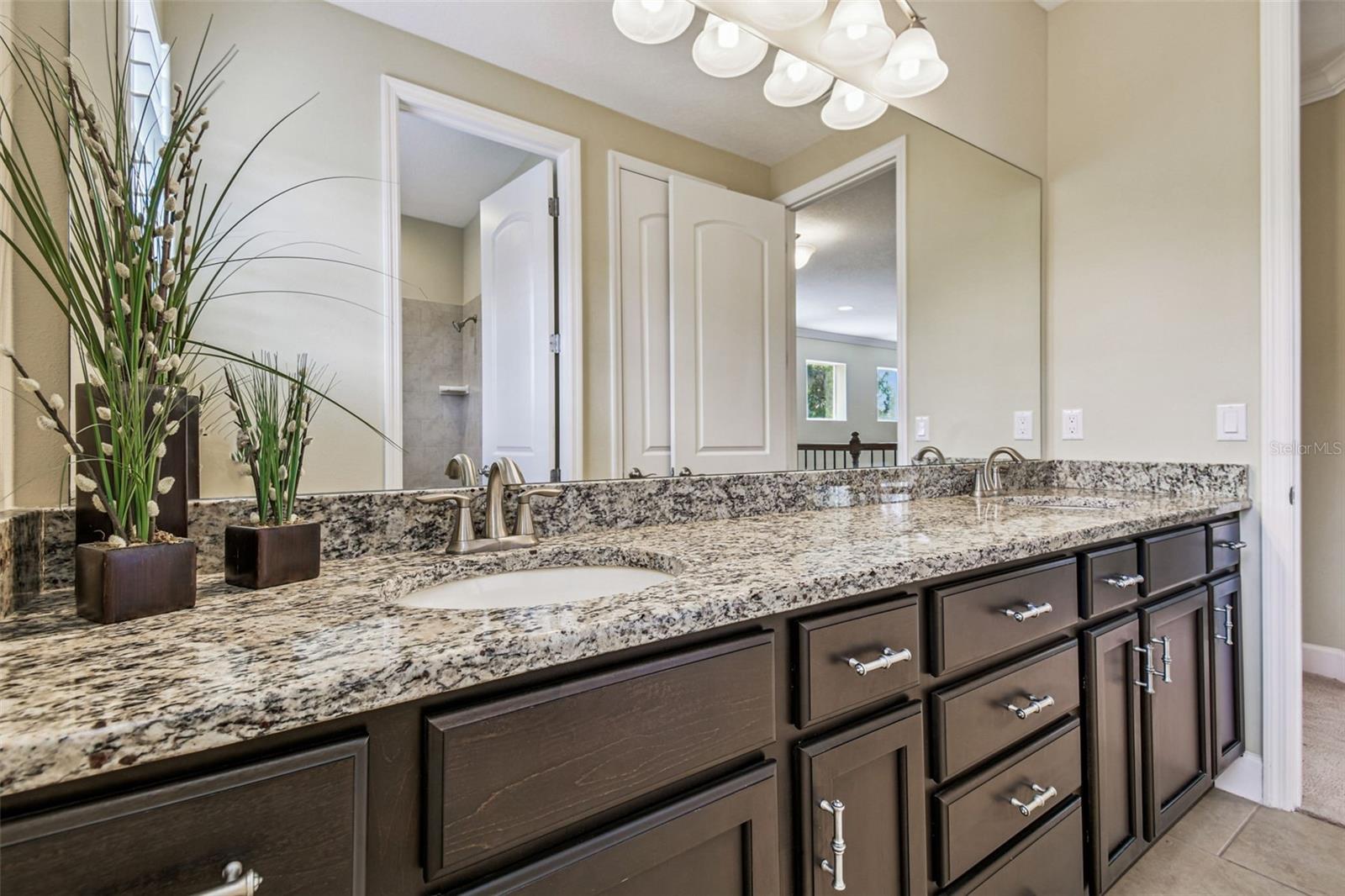 Image 50 of 100 For 27734 Indigo Pond Court