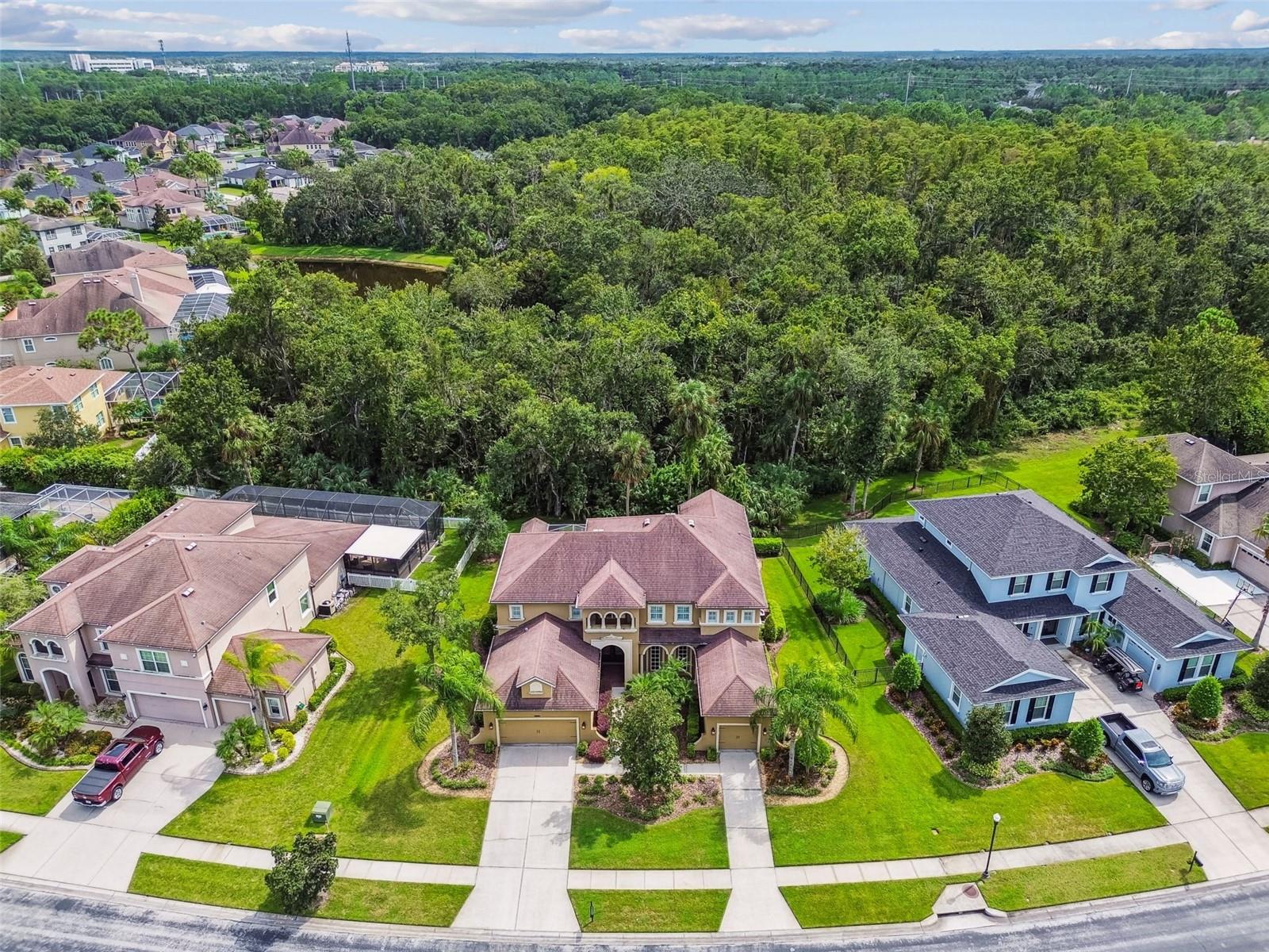 Image 79 of 100 For 27734 Indigo Pond Court
