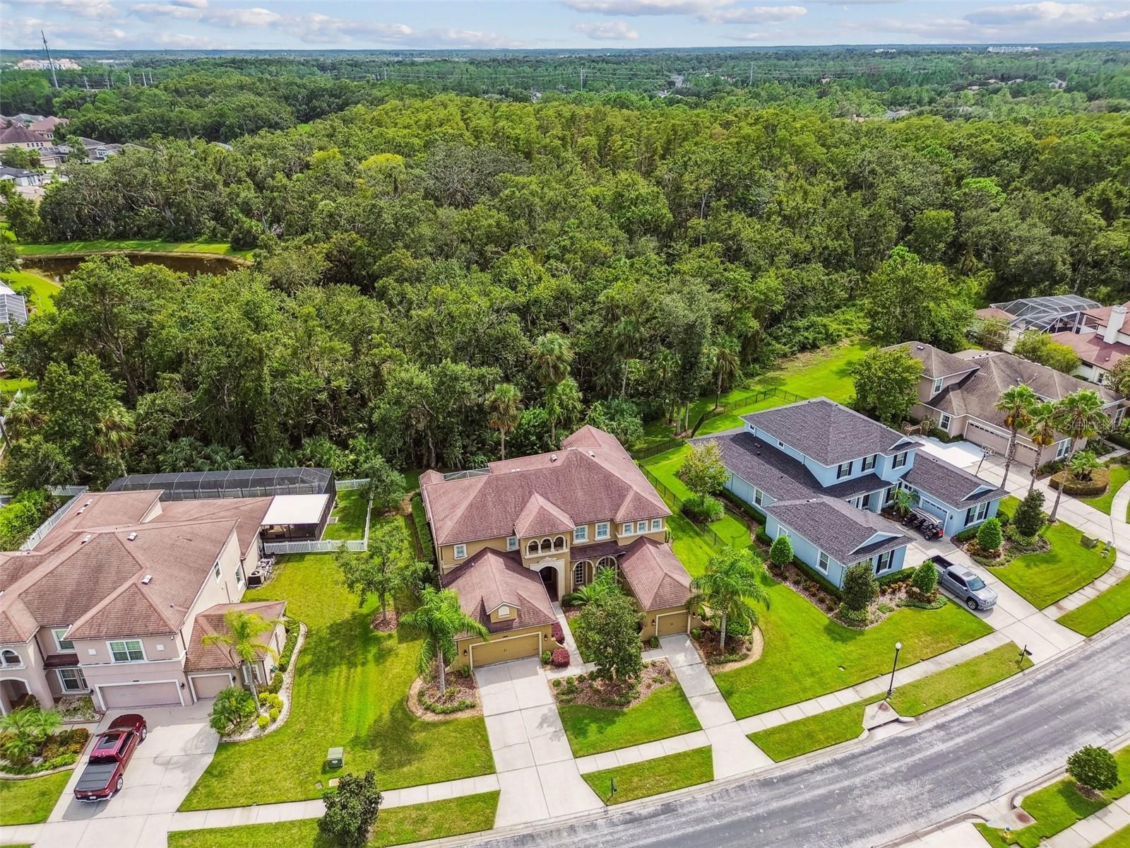 Image 80 of 100 For 27734 Indigo Pond Court