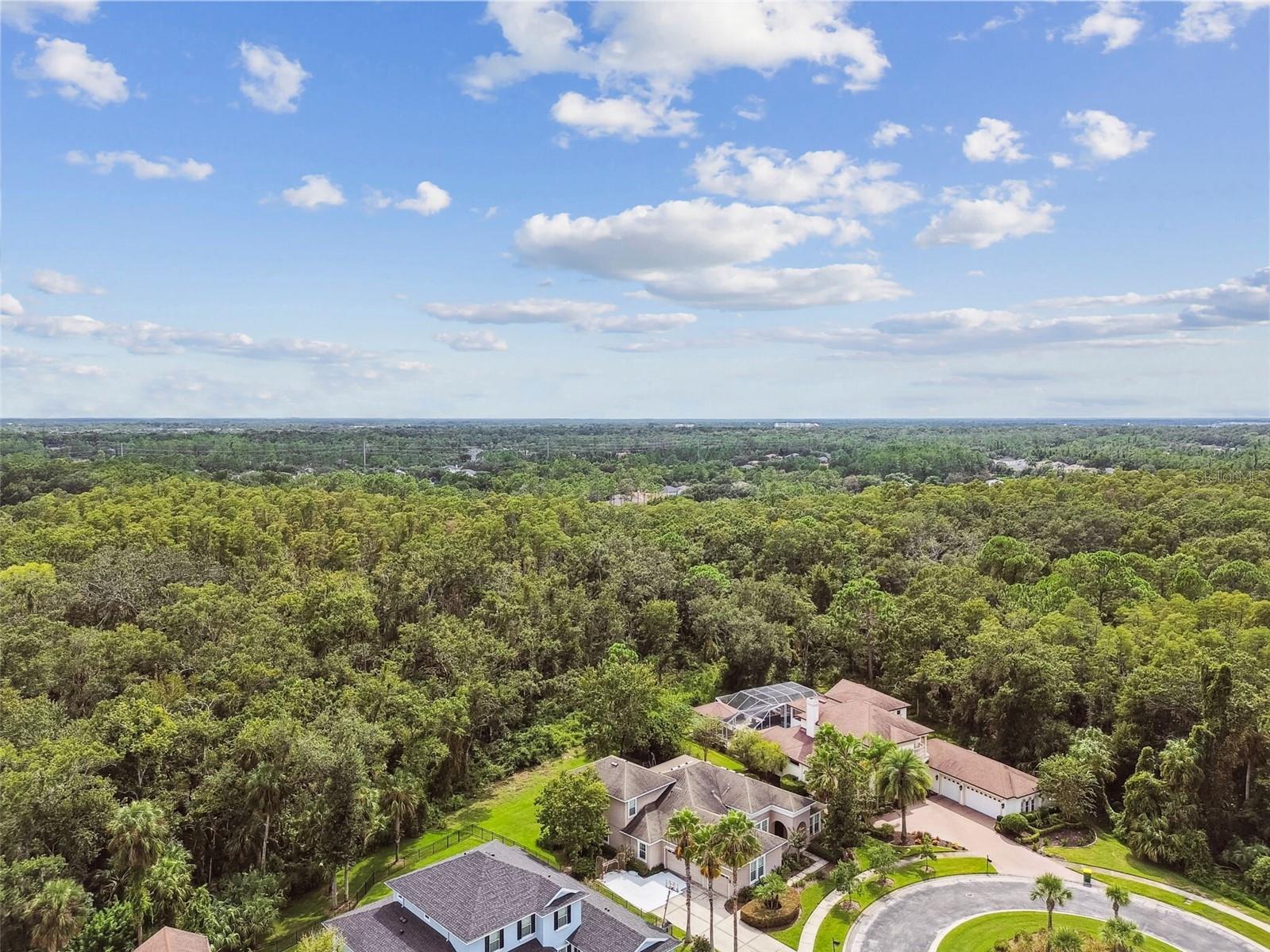 Image 81 of 100 For 27734 Indigo Pond Court