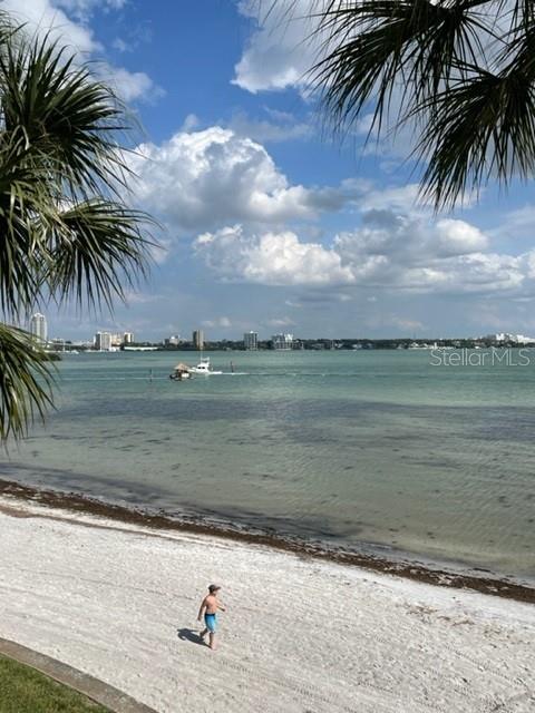 Image 26 of 36 For 865 Gulfview Boulevard 311