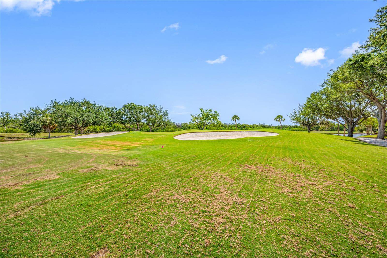 Image 42 of 43 For 2333 Feather Sound Drive A107