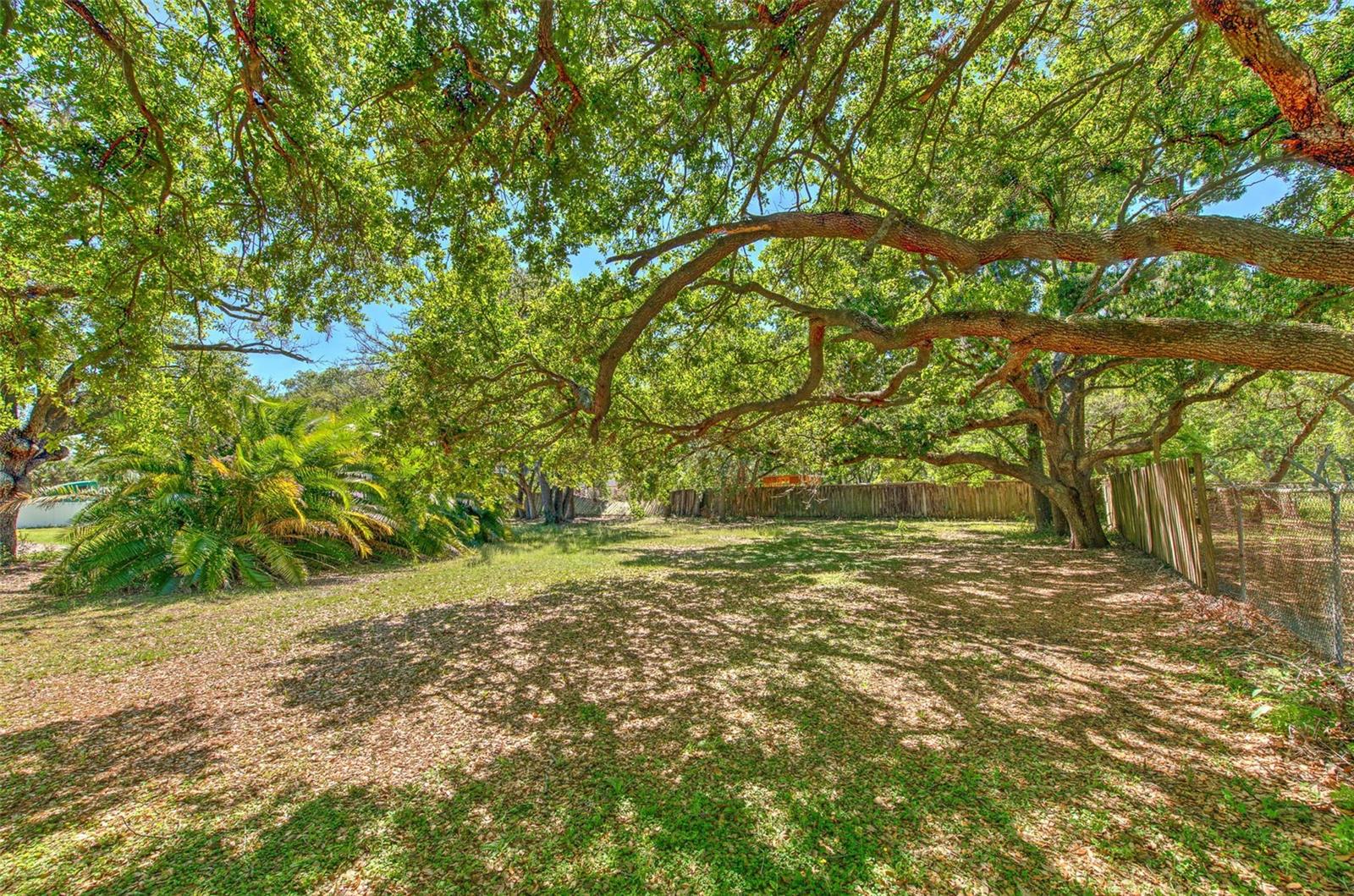 Image 14 of 38 For 5921 Causeway Boulevard