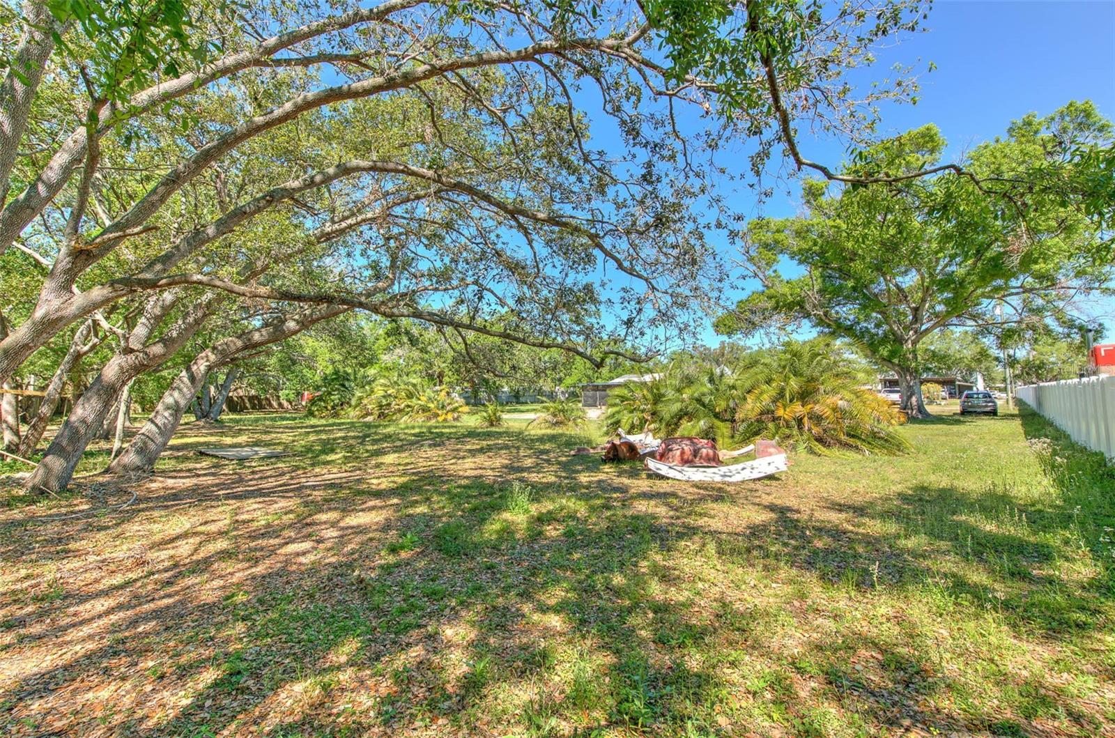 Image 8 of 38 For 5921 Causeway Boulevard