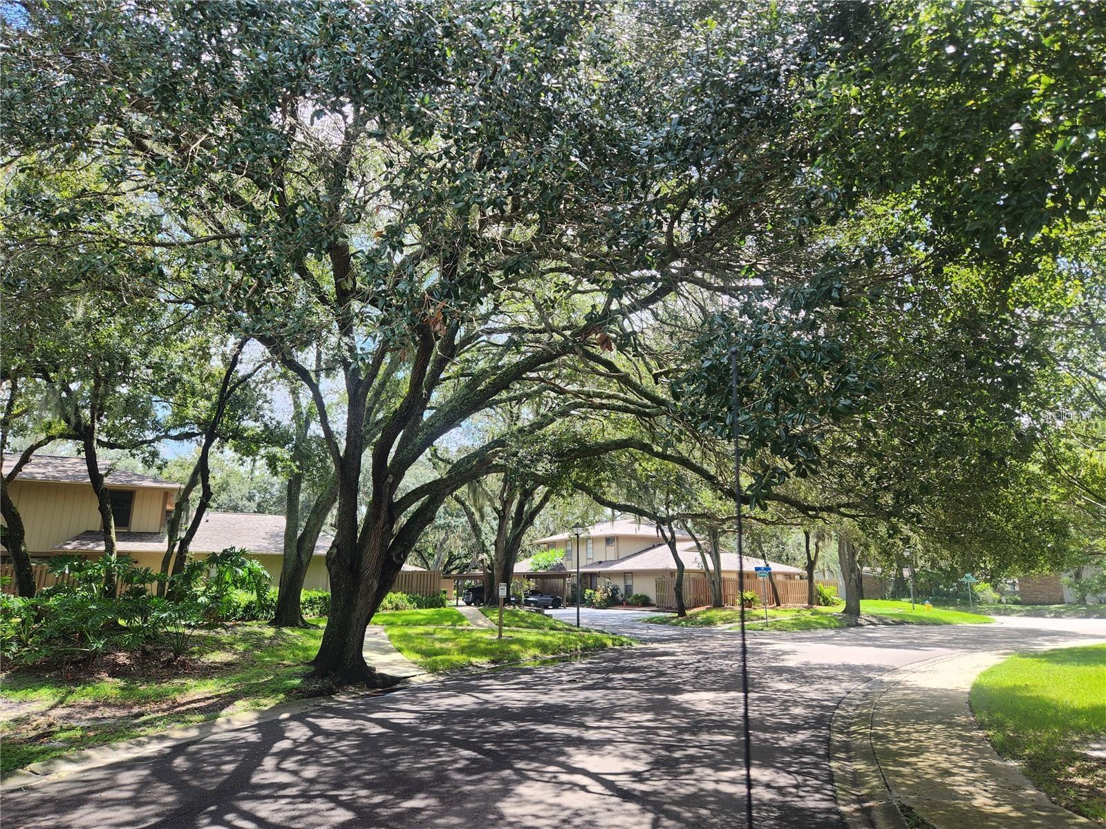 Image 44 of 44 For 909 Buck Court