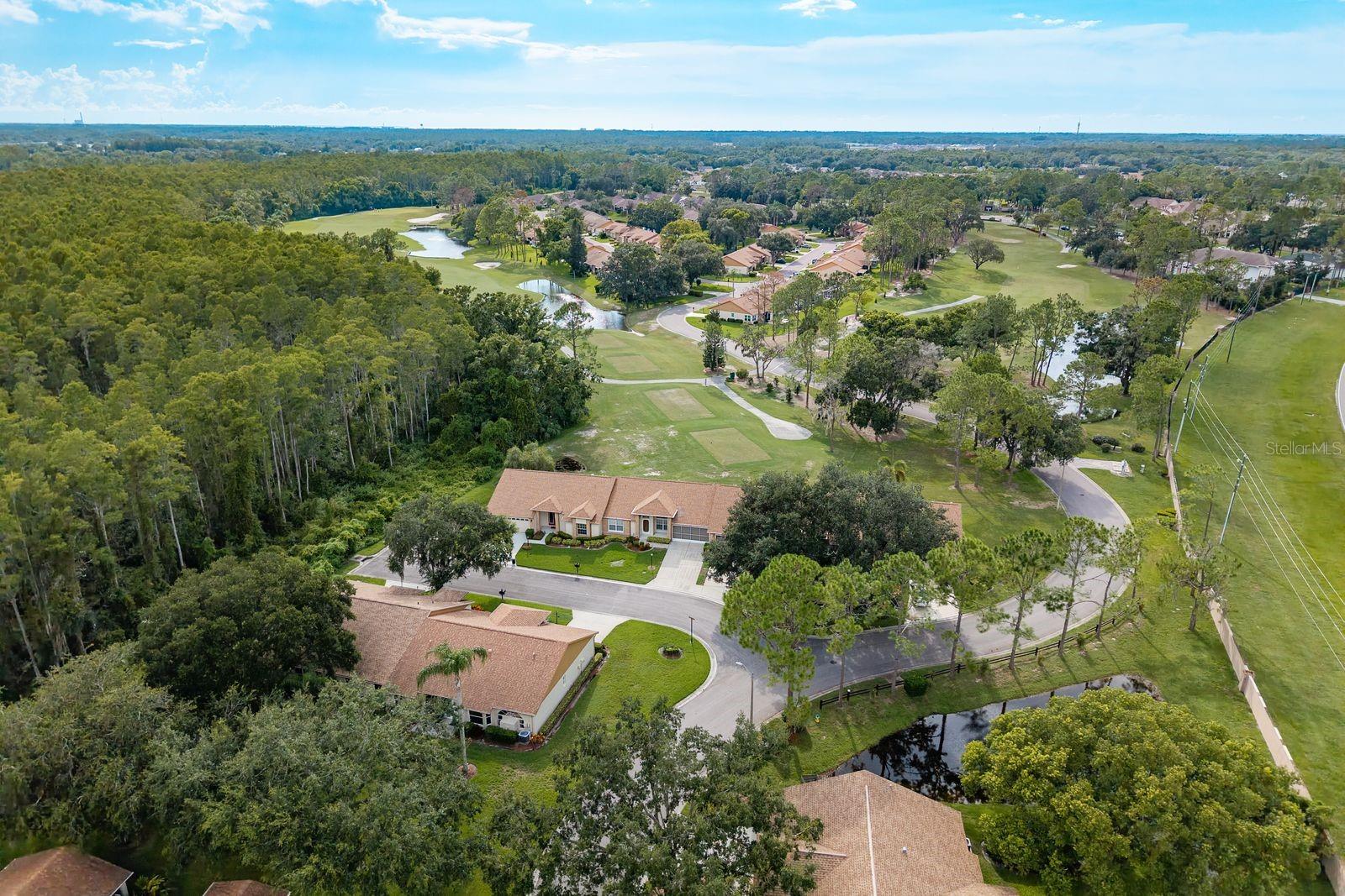 Listing photo id 30 for 5935 Precious View Court