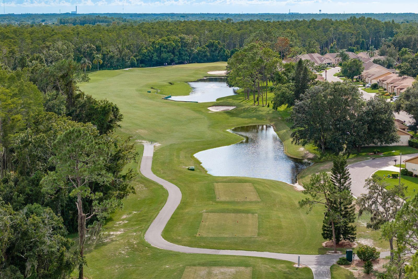 Listing photo id 31 for 5935 Precious View Court