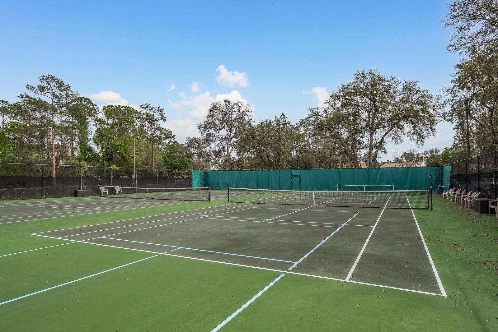 Listing photo id 43 for 5935 Precious View Court