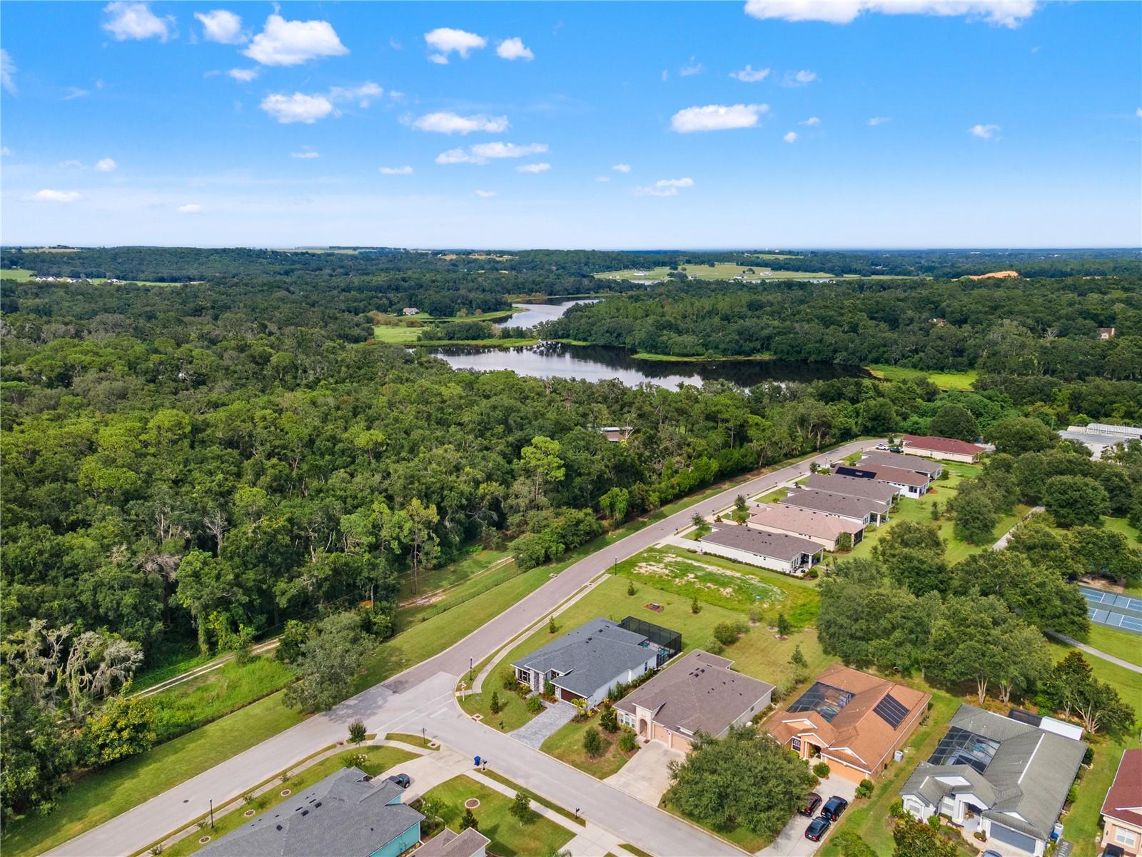 Image 80 of 92 For 13444 Trailing Moss Drive