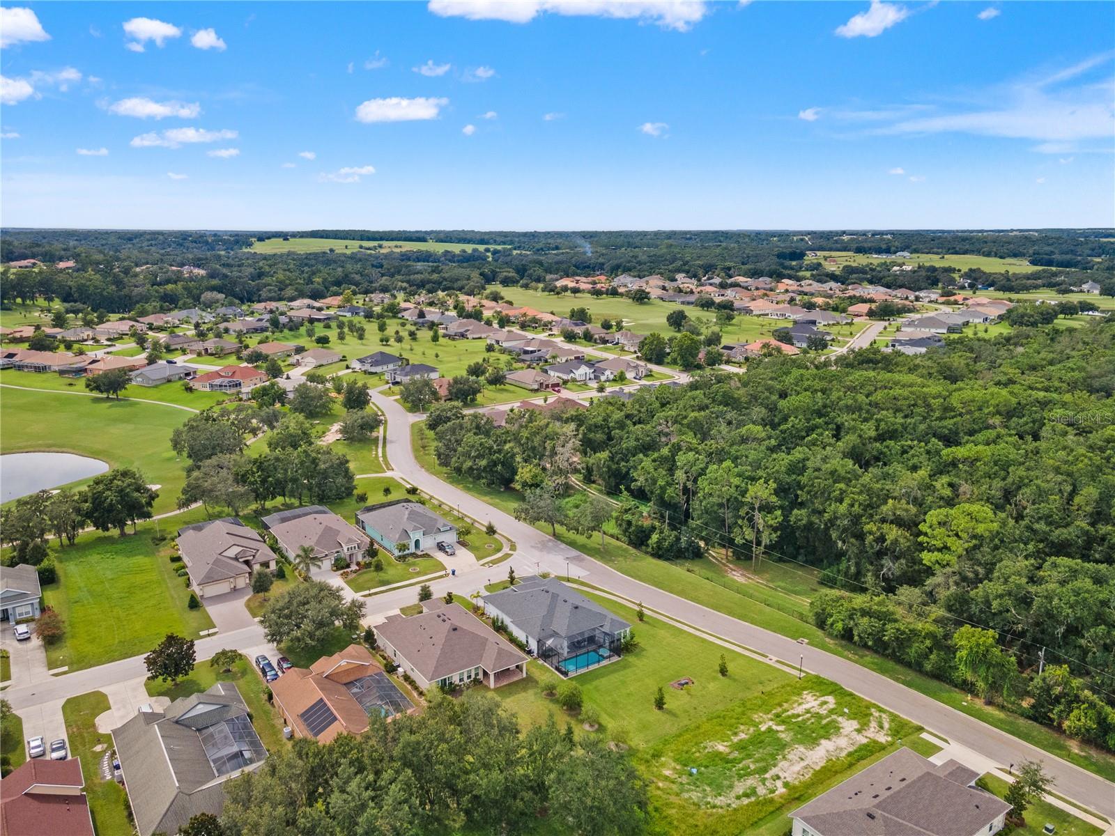 Image 82 of 92 For 13444 Trailing Moss Drive