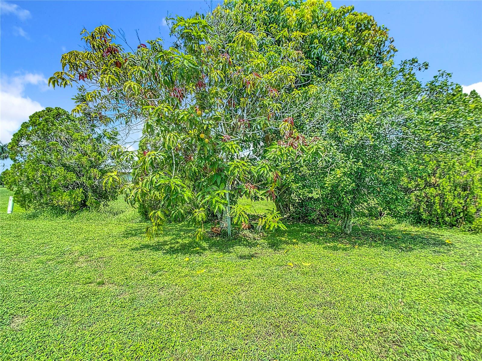 Image 43 of 43 For 2183 Rio De Janeiro Avenue