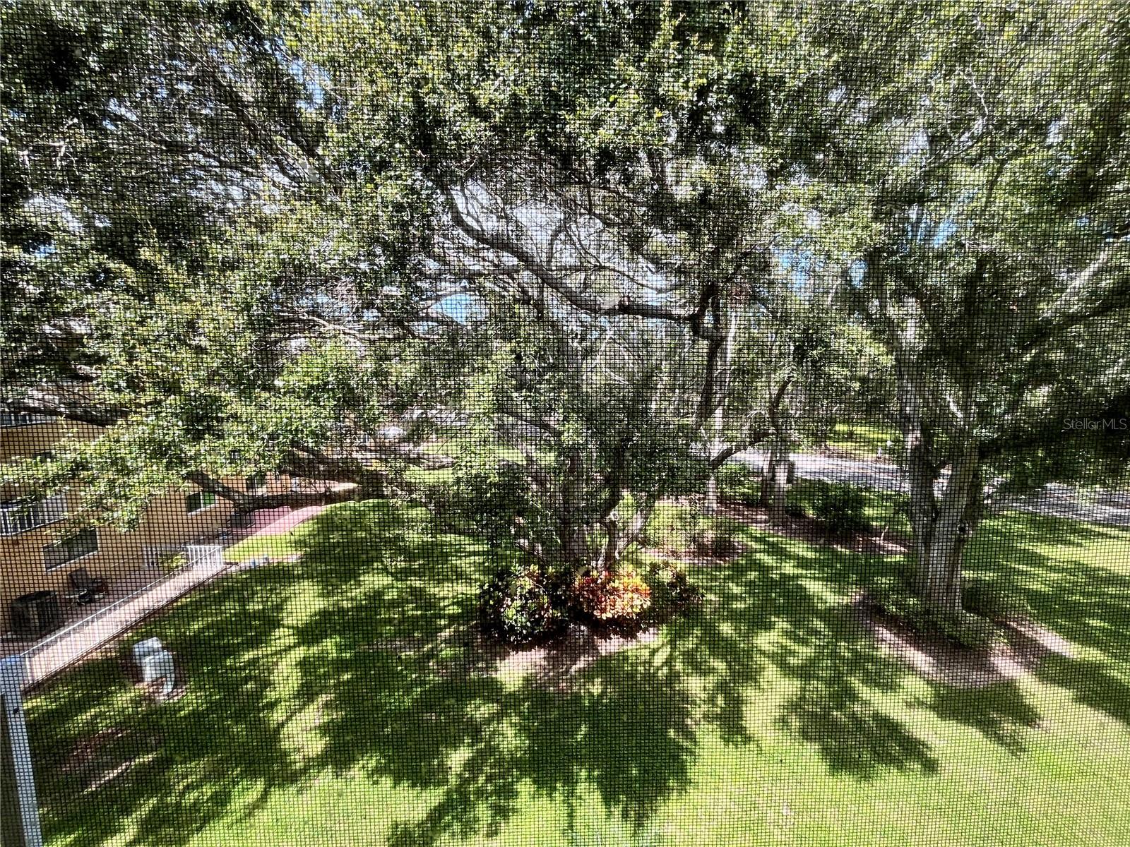 Image 30 of 54 For 2220 Spanish Drive 54