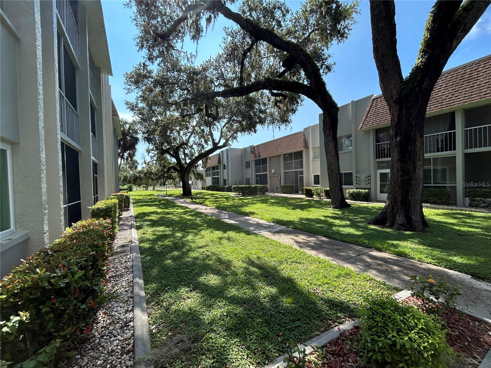 Image 7 of 46 For 1520 Glen Oaks Drive E 256