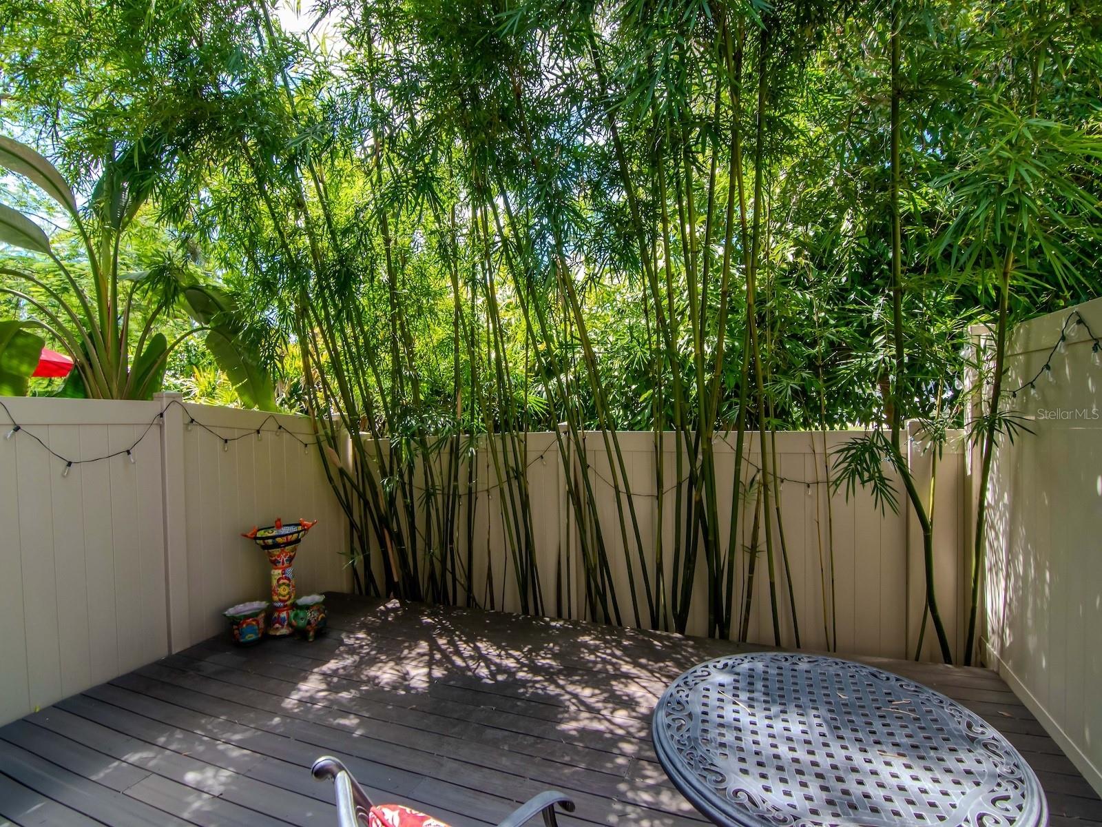 Image 27 of 39 For 2916 Gandy Boulevard B