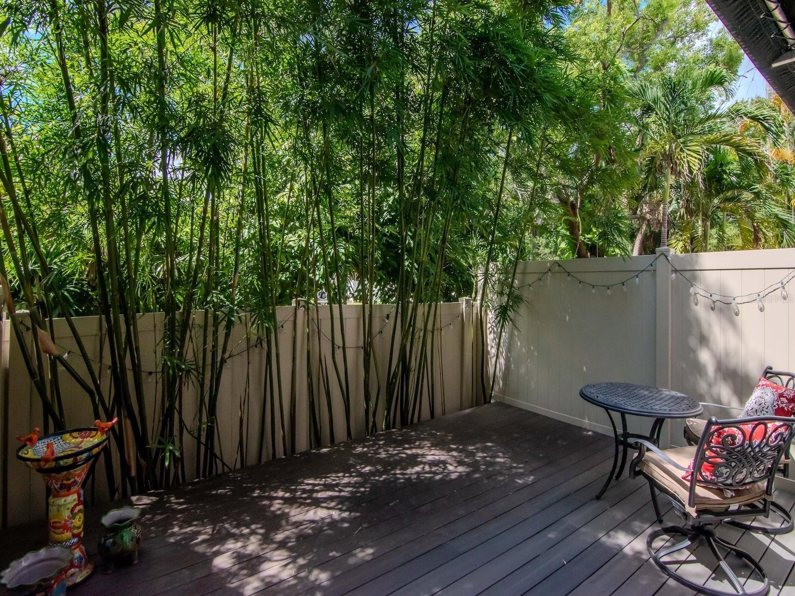 Image 28 of 39 For 2916 Gandy Boulevard B