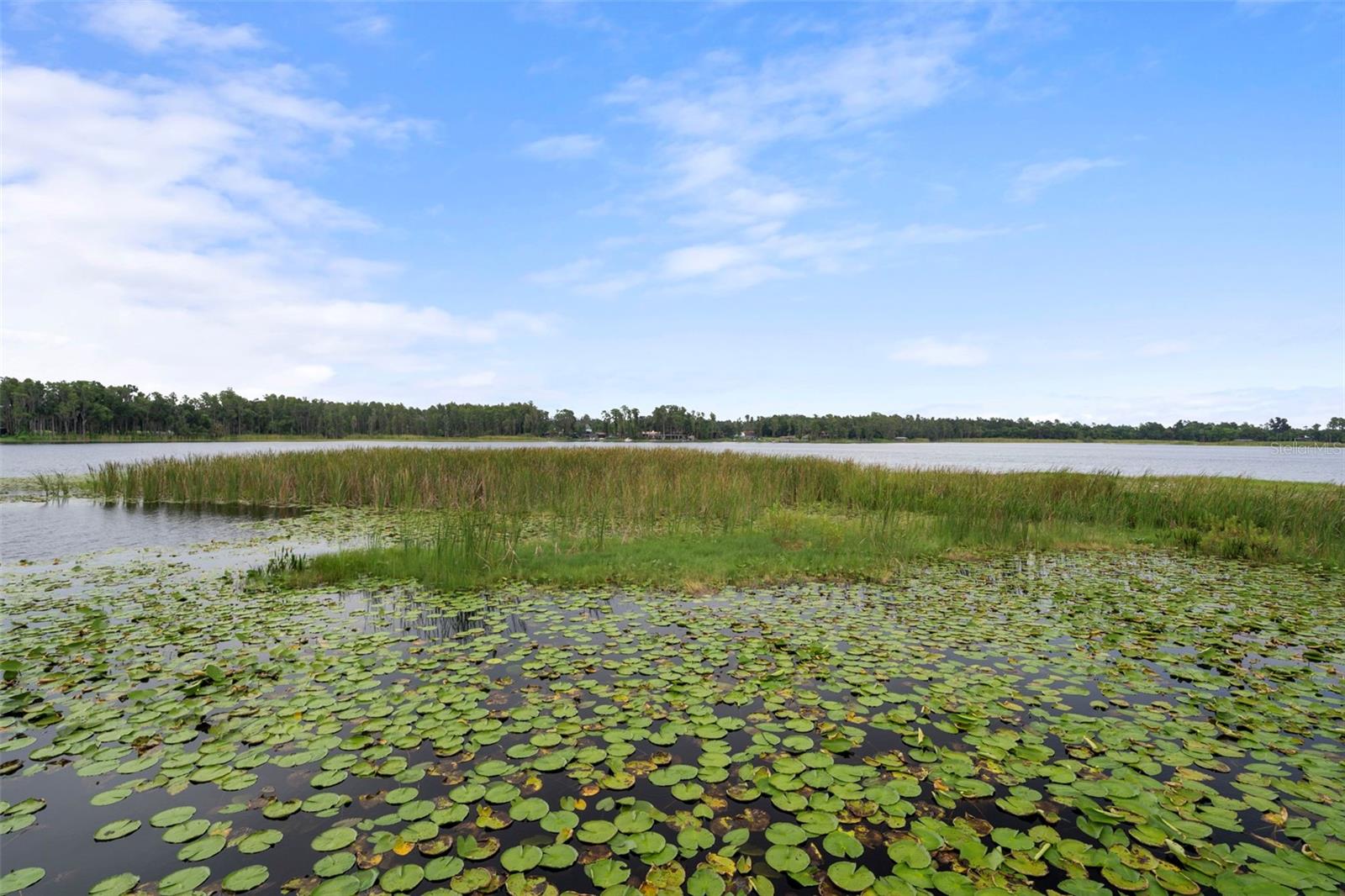 Listing photo id 72 for 228 Lakeside Drive