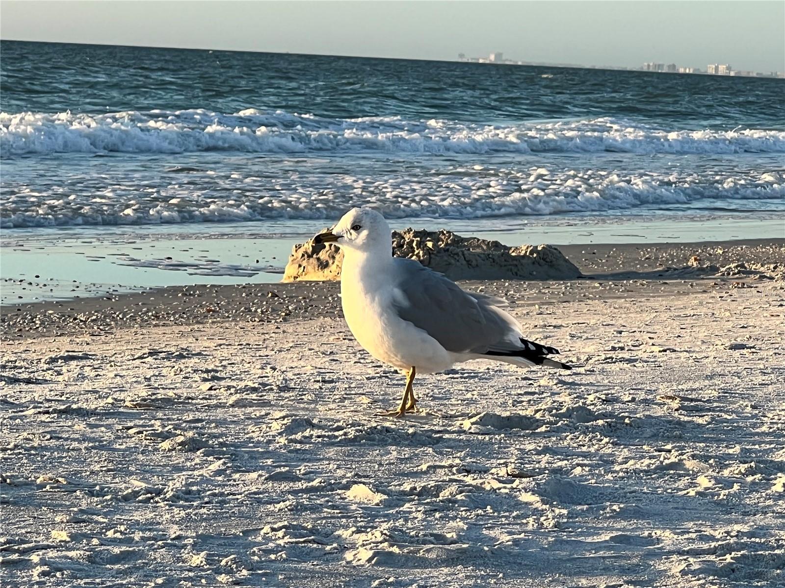 Image 48 of 54 For 6250 Holmes Boulevard 71