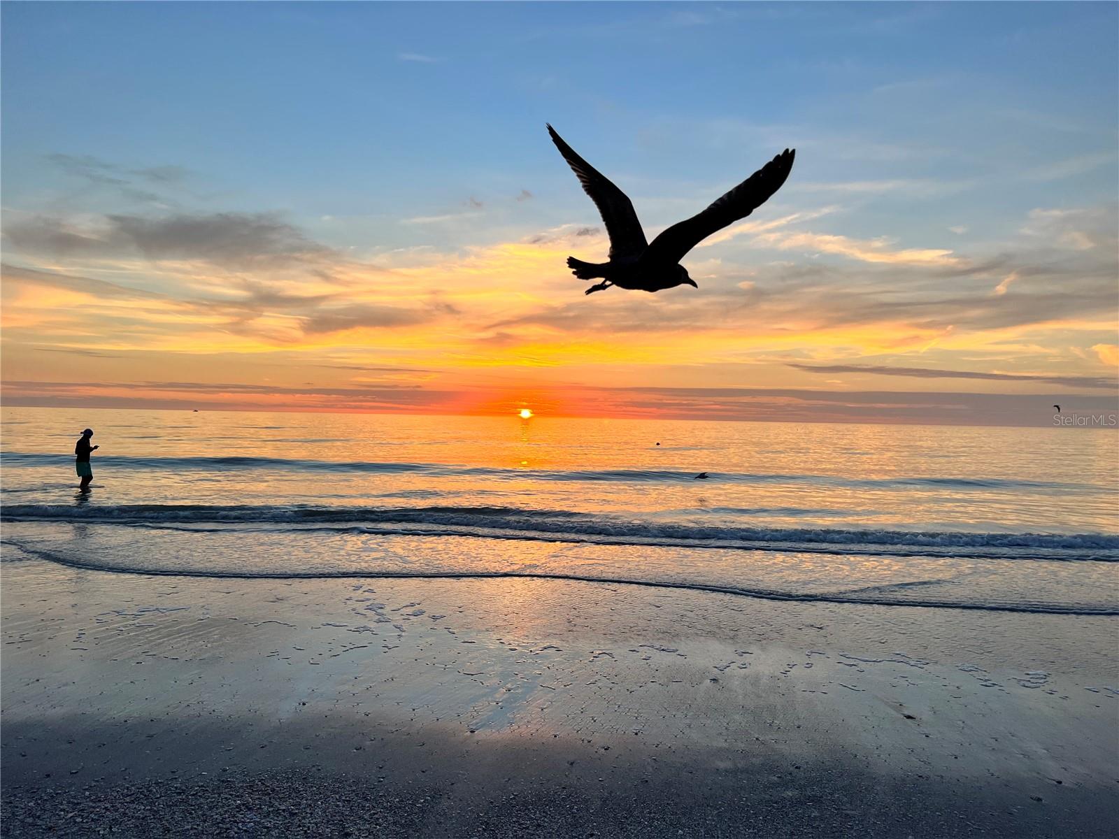 Image 53 of 54 For 6250 Holmes Boulevard 71