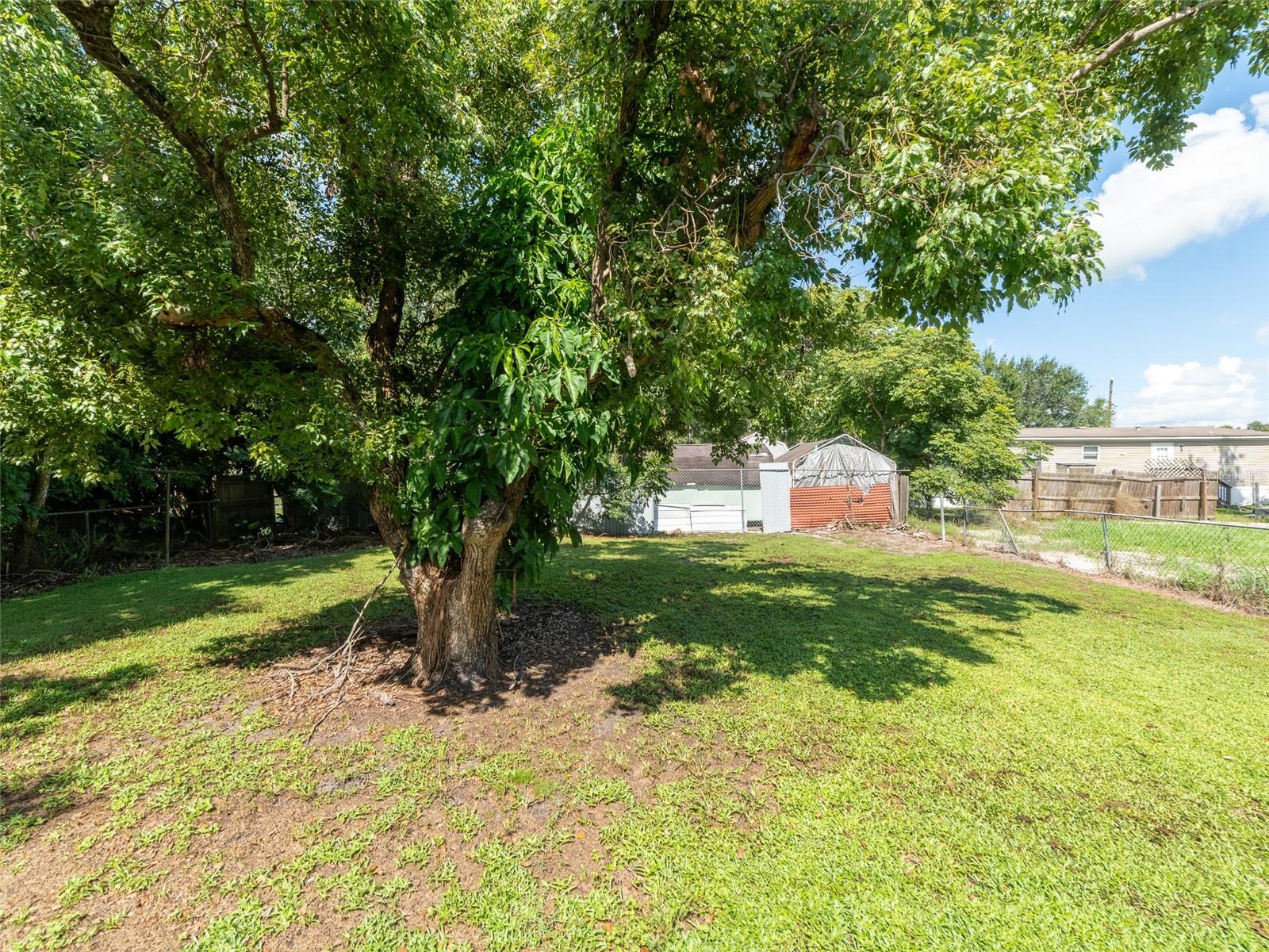 Image 13 of 16 For 335 Gardenia Road