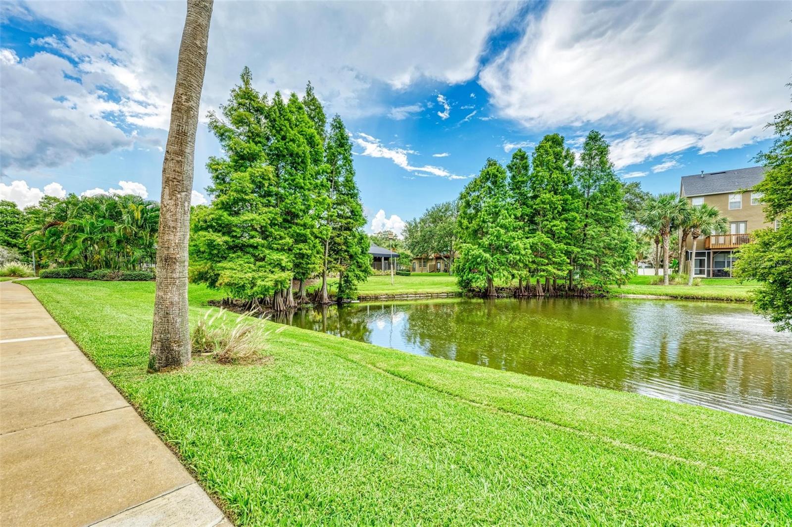 Image 51 of 65 For 2926 Bayshore Pointe Drive