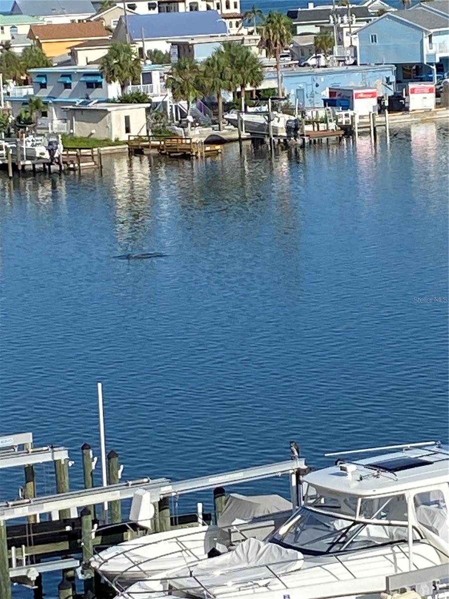 Image 2 of 30 For 17735 Gulf Boulevard 405