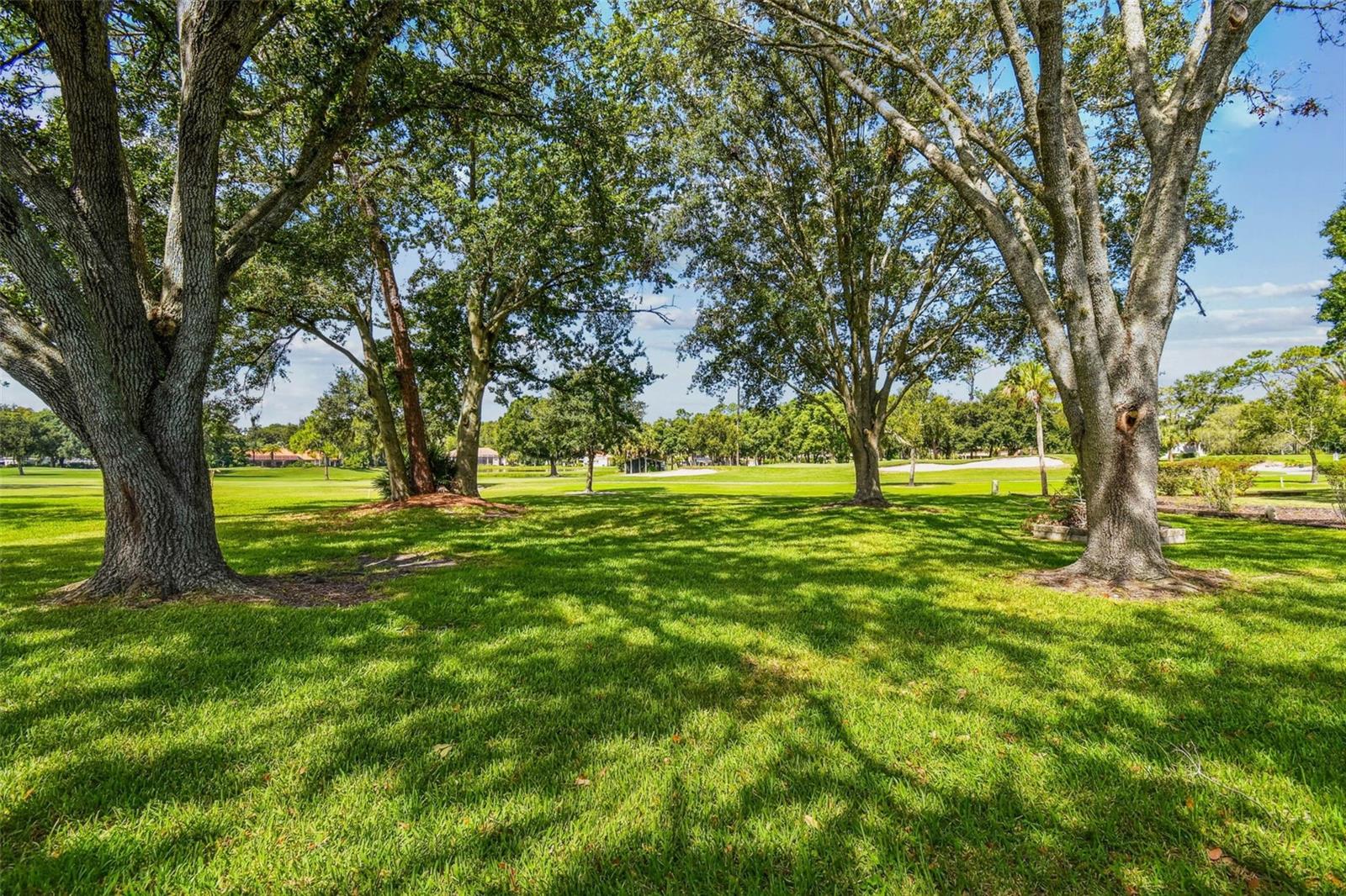 Image 65 of 80 For 5319 Saddlebrook Way