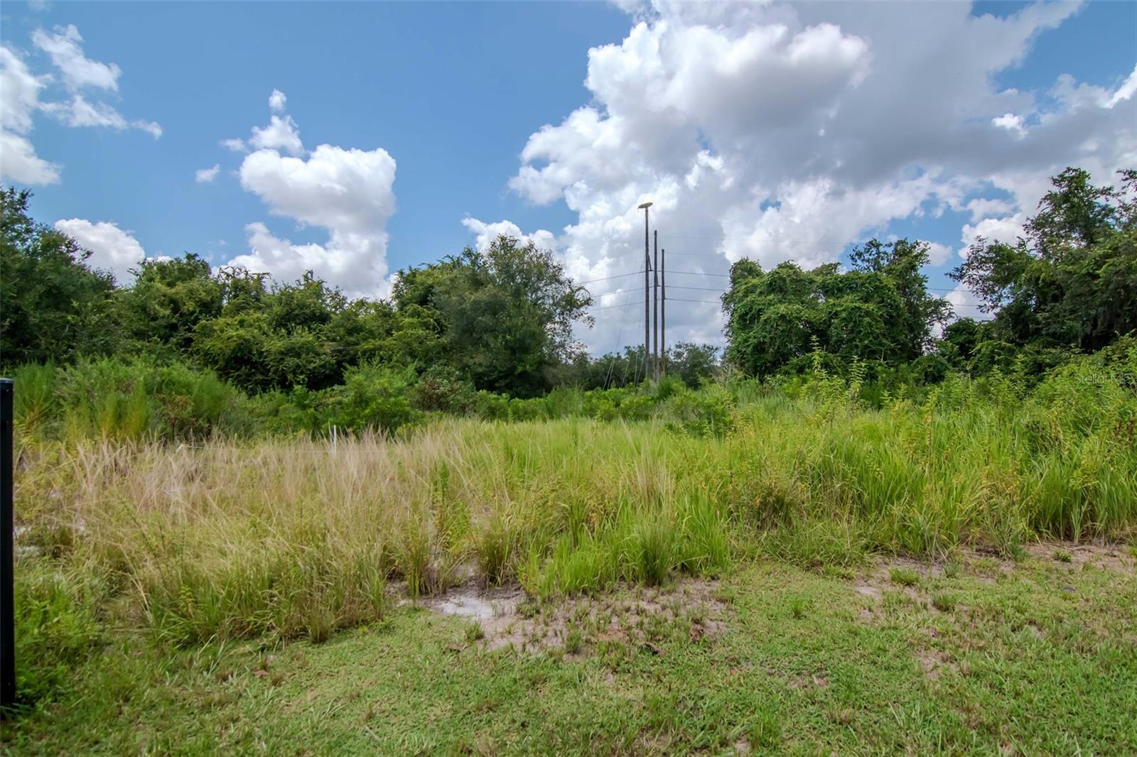 Image 39 of 61 For 5572 Maggiore Boulevard