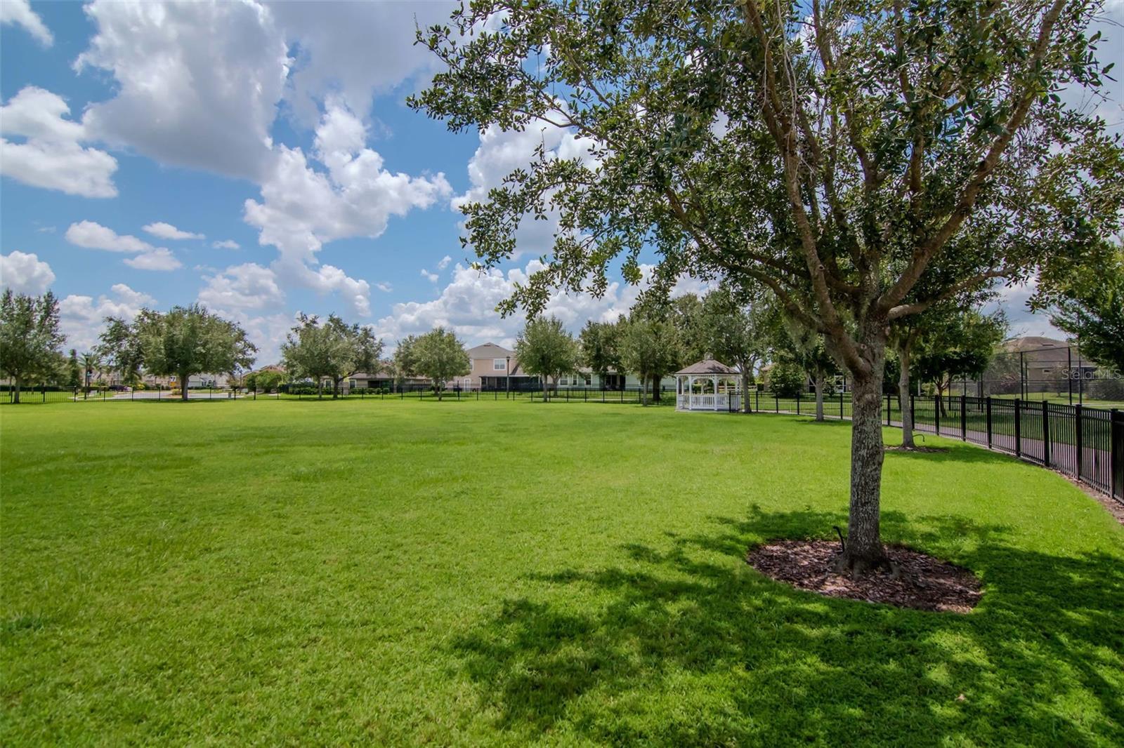 Image 59 of 61 For 5572 Maggiore Boulevard