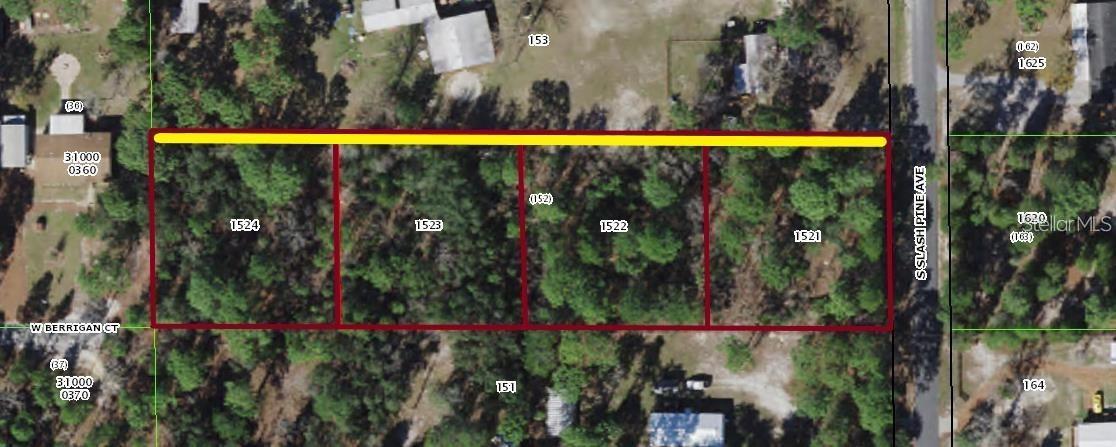 Image 2 of 4 For Slash Pine Avenue