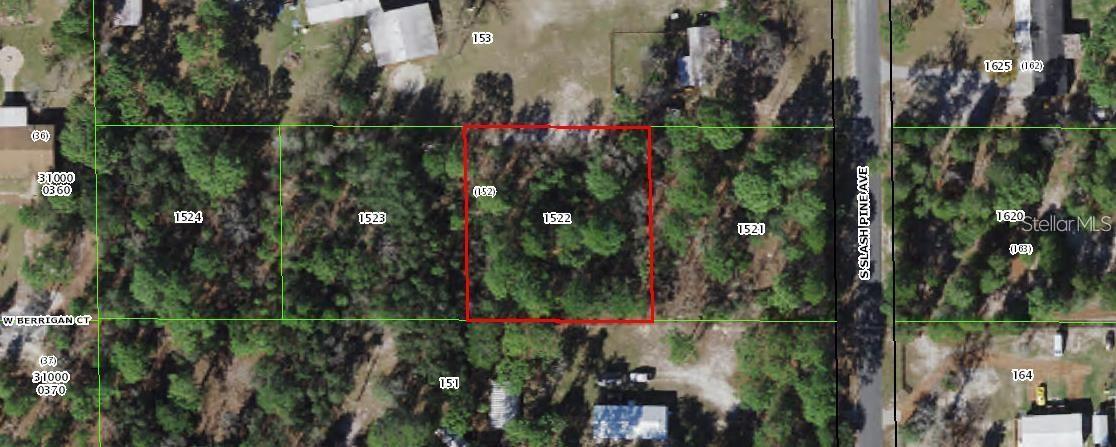 Image 3 of 4 For Slash Pine Avenue