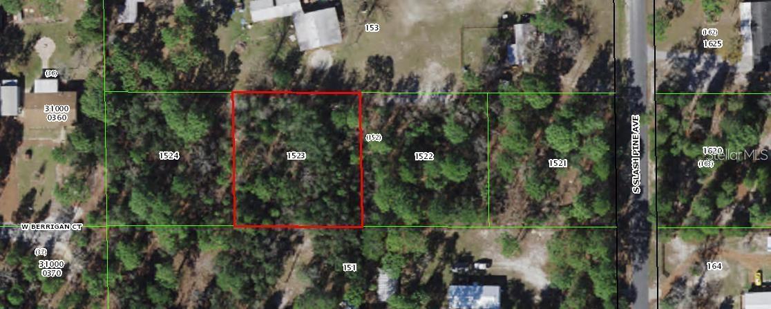 Image 4 of 4 For Slash Pine Avenue