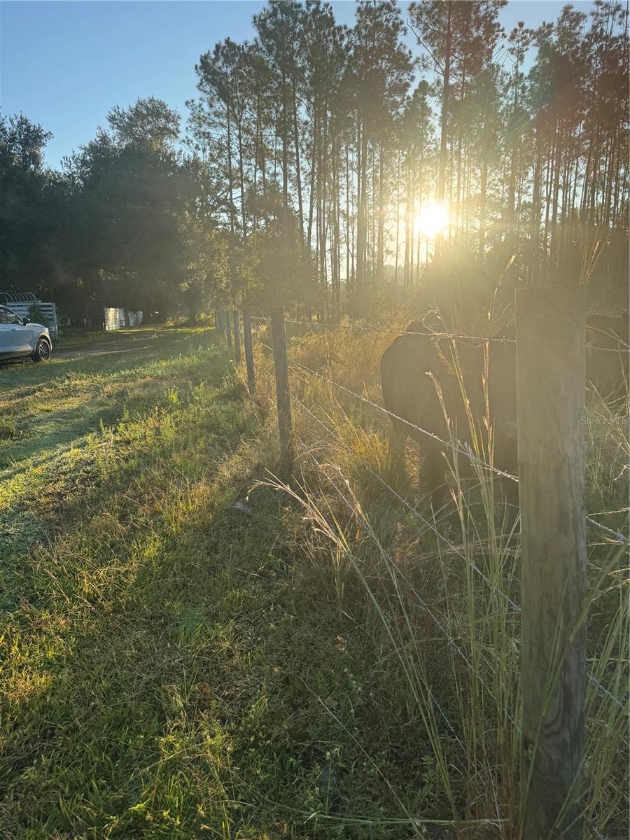 Image 26 of 31 For 5812 Dormany Road