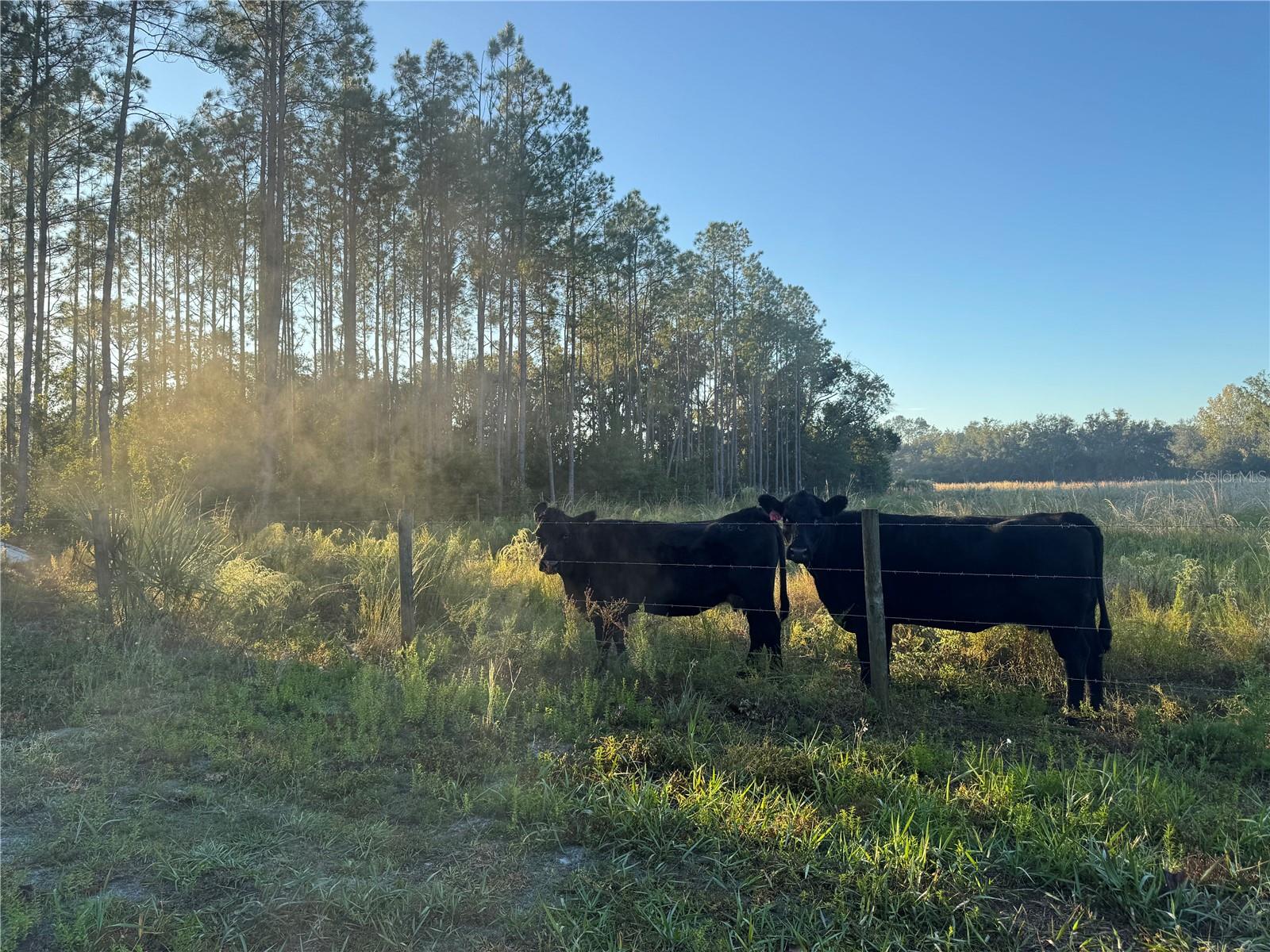 Image 27 of 31 For 5812 Dormany Road