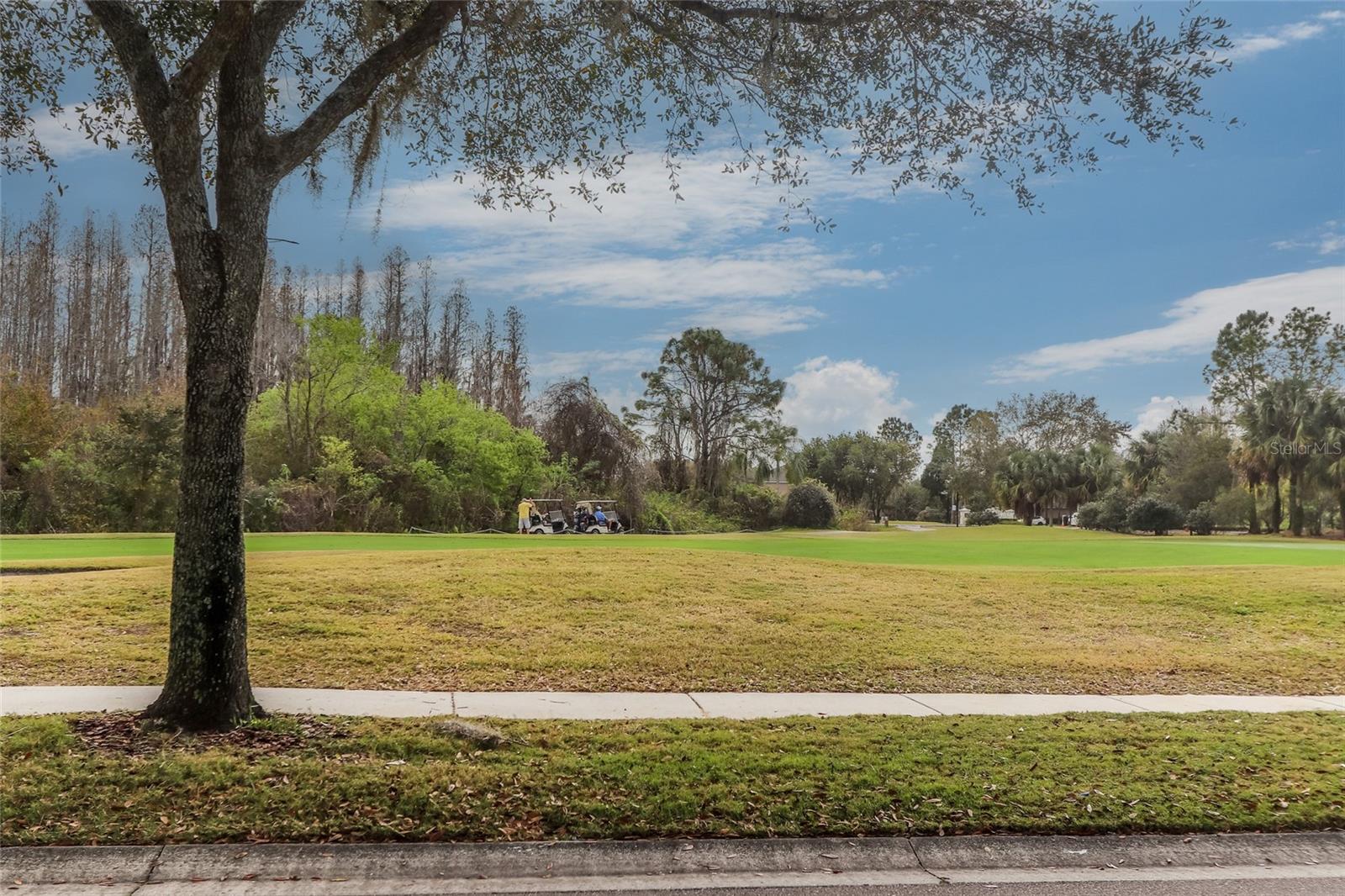 Image 61 of 65 For 18118 Diamond Cove Court