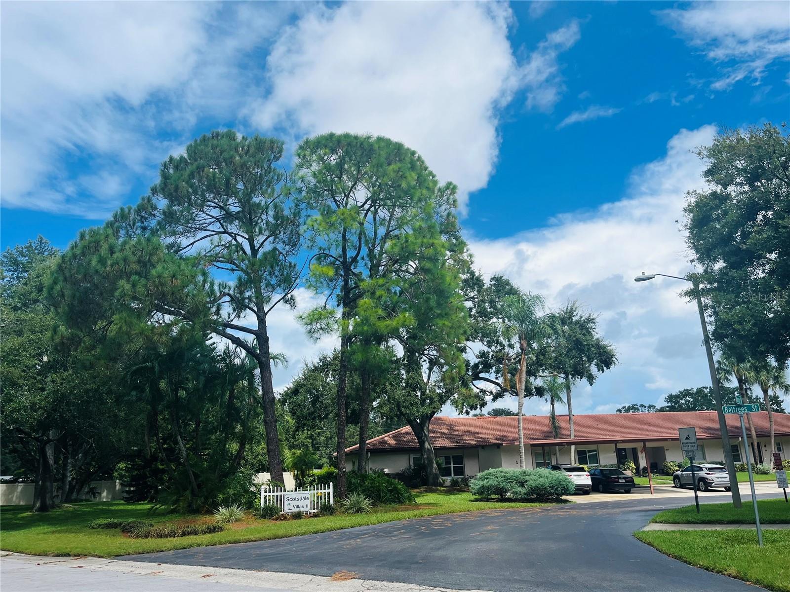 Details for 1090 Montrose Place 1701, DUNEDIN, FL 34698
