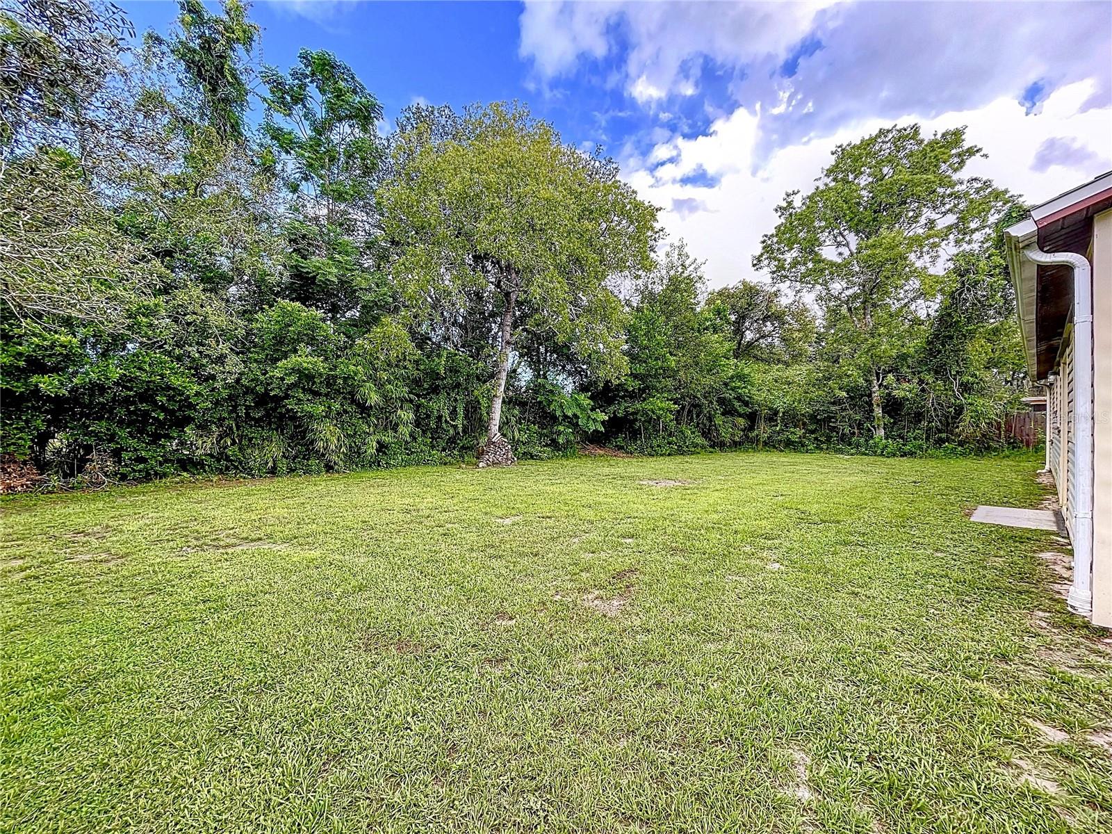 Listing photo id 41 for 3251 Gretna Drive