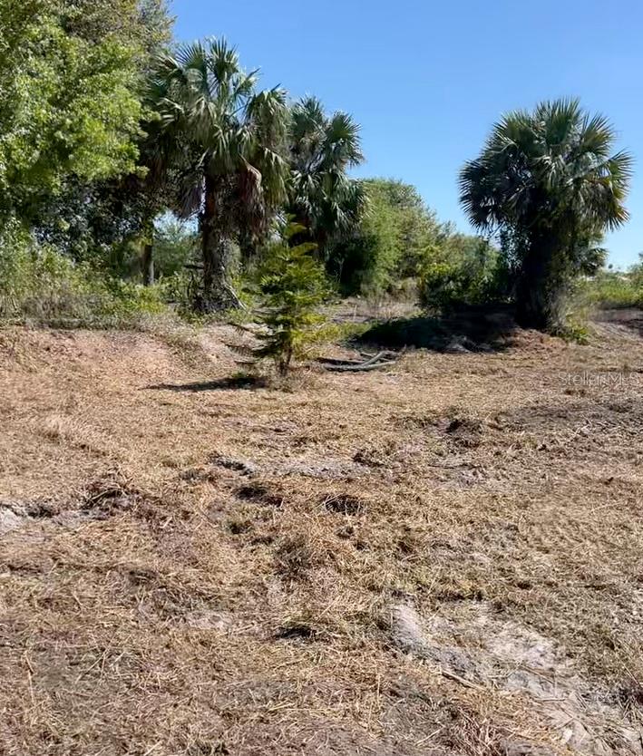 Image 8 of 12 For 18462 292nd Street