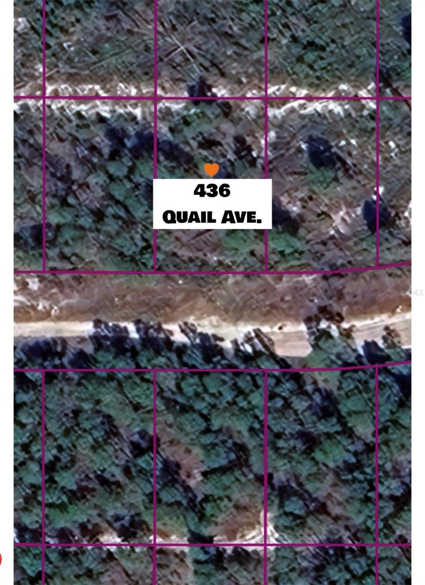 Listing Details for 436 Quail Avenue, SEBRING, FL 33870