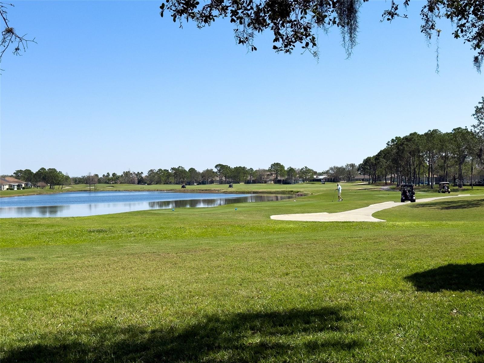 Image 33 of 45 For 2237 Mayfield Palms Lane 2237