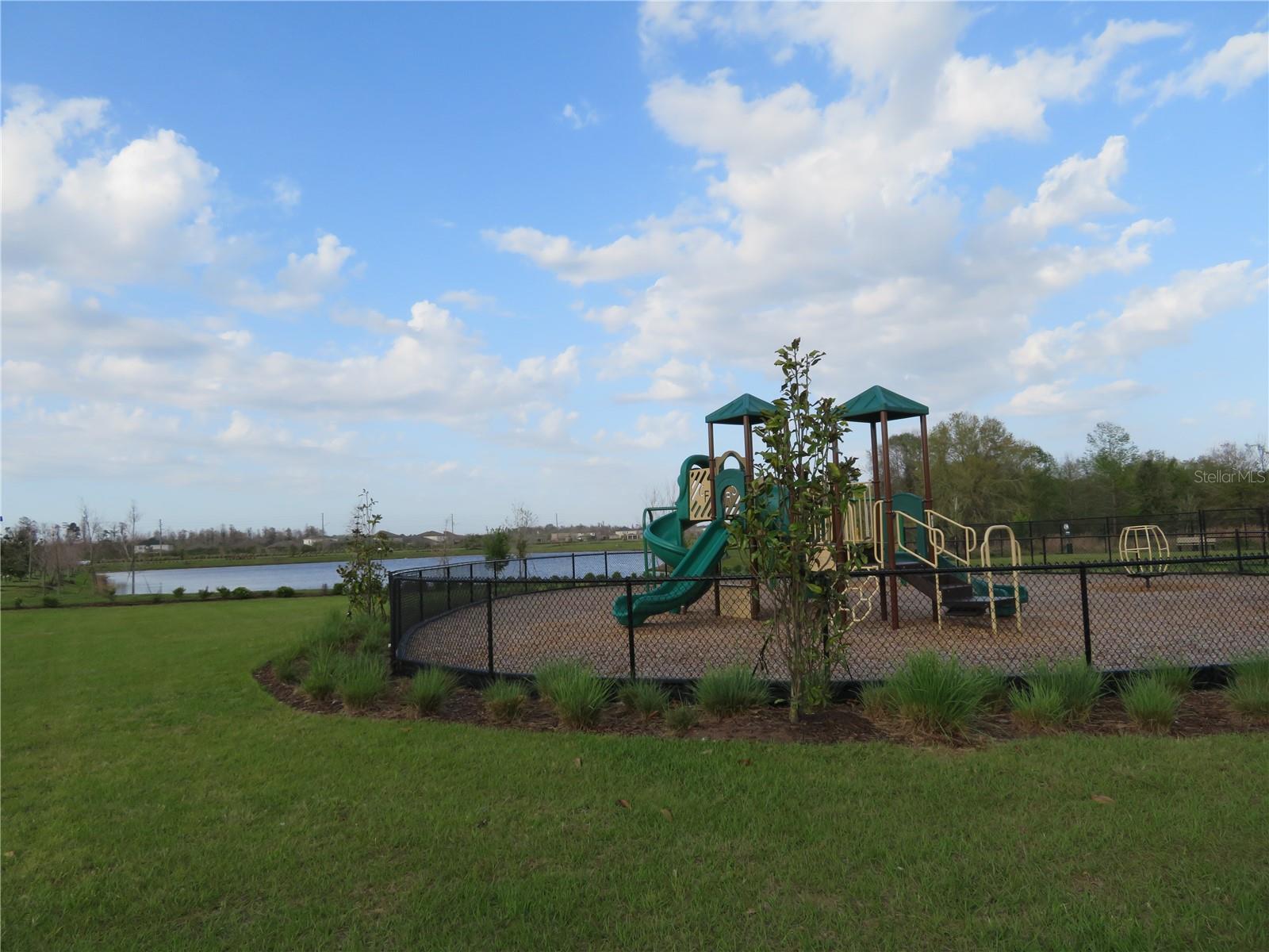 Image 17 of 22 For 17212 Bigleaf Mahogany Ln