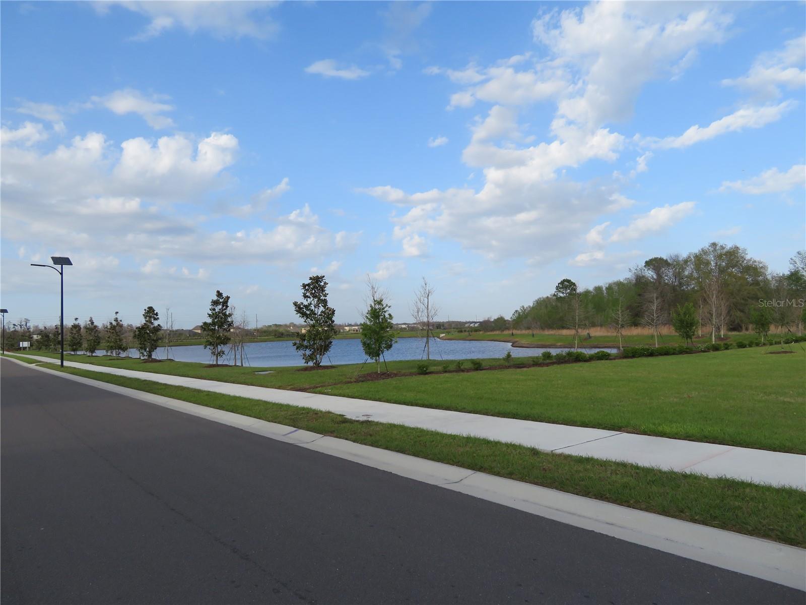Image 19 of 22 For 17212 Bigleaf Mahogany Ln