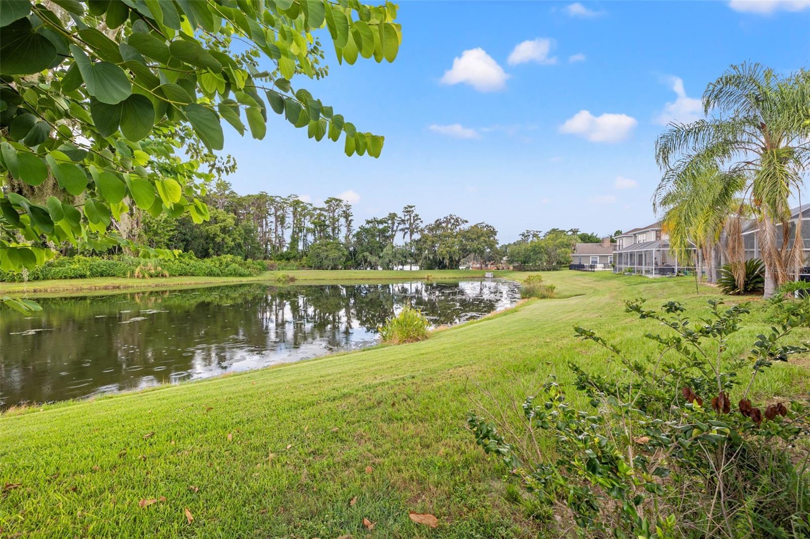 Image 45 of 49 For 19834 Wyndham Lakes Drive
