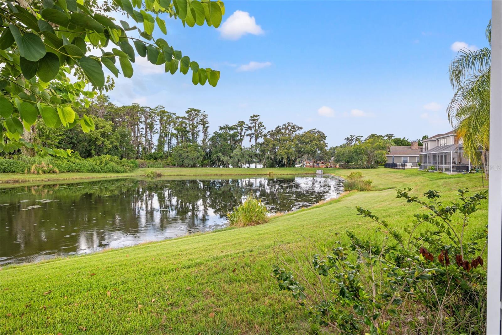Image 46 of 49 For 19834 Wyndham Lakes Drive