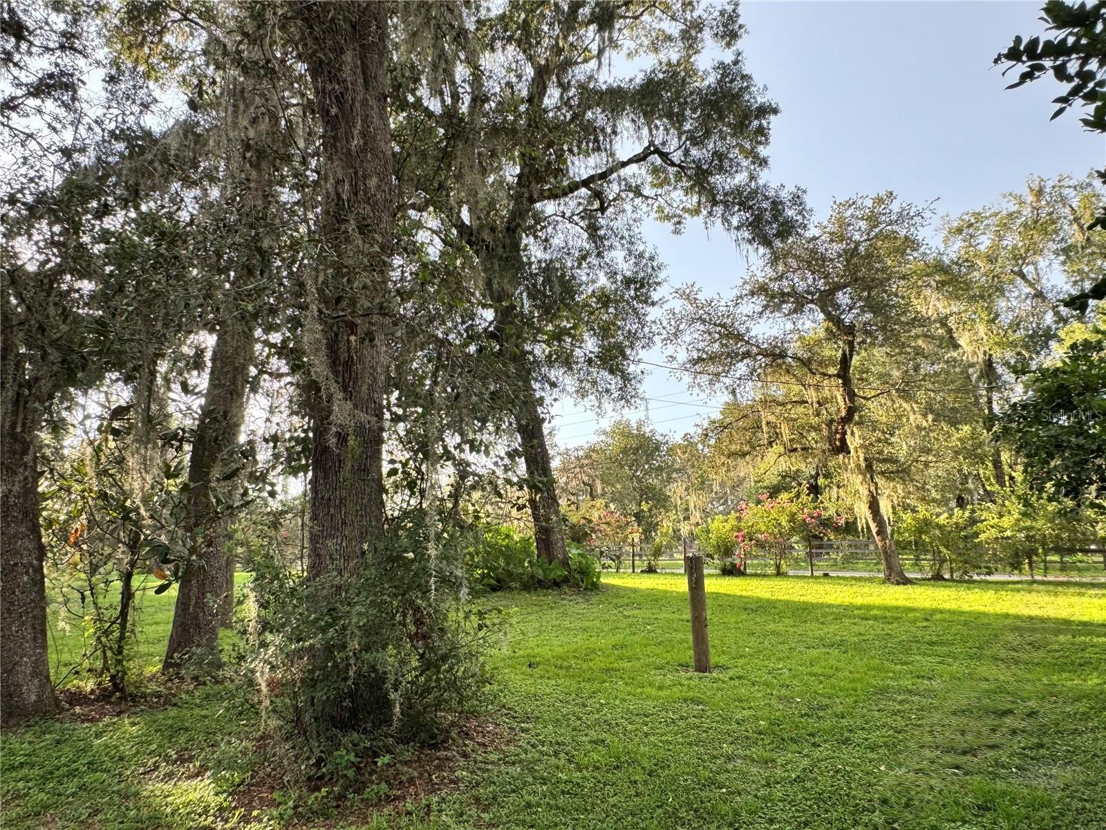Image 25 of 28 For 33284 Rowntree Drive