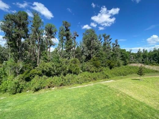 Image 32 of 33 For 16140 Monterey Greens Circle