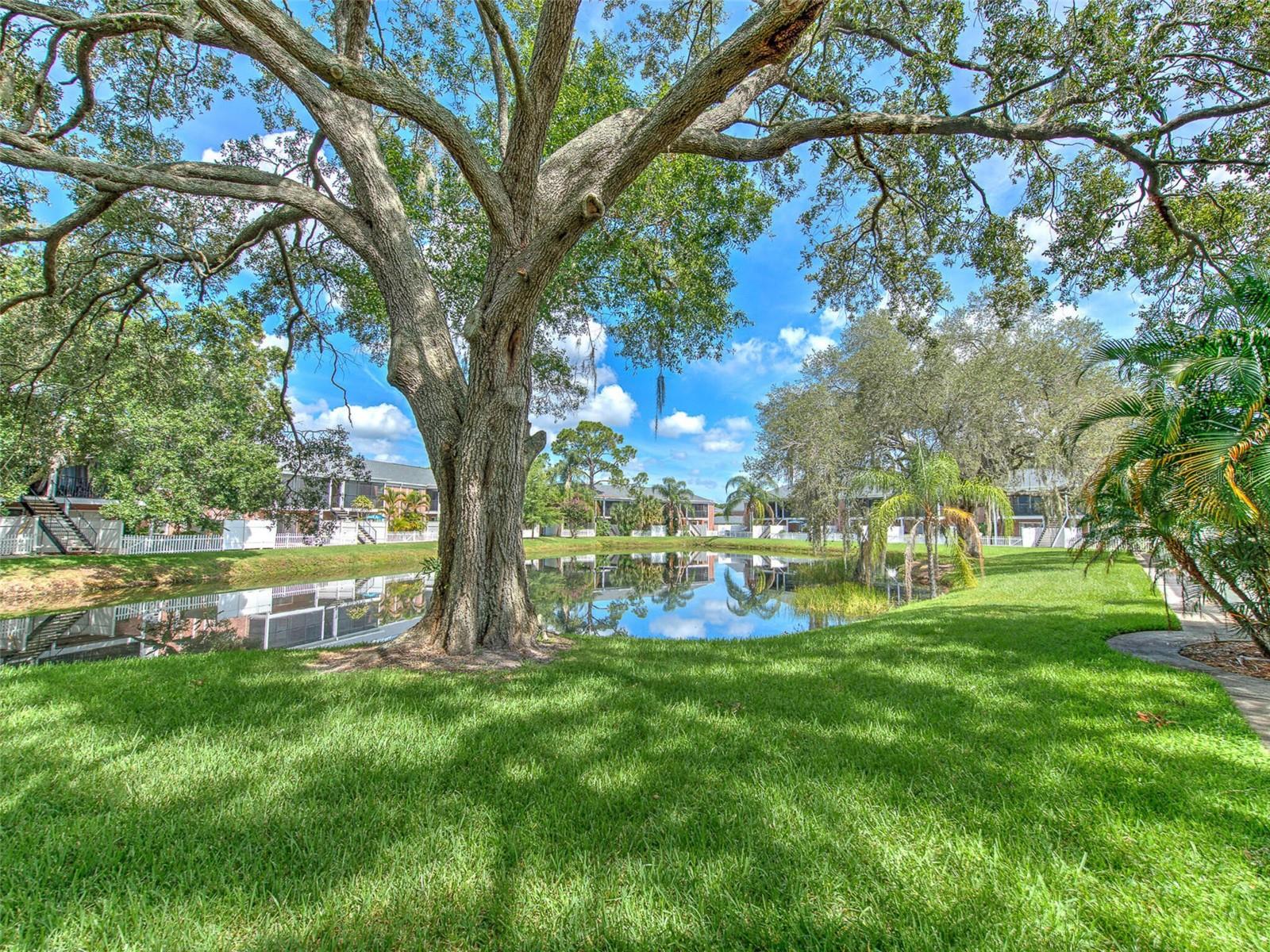 Image 13 of 56 For 13759 Orange Sunset Drive 201