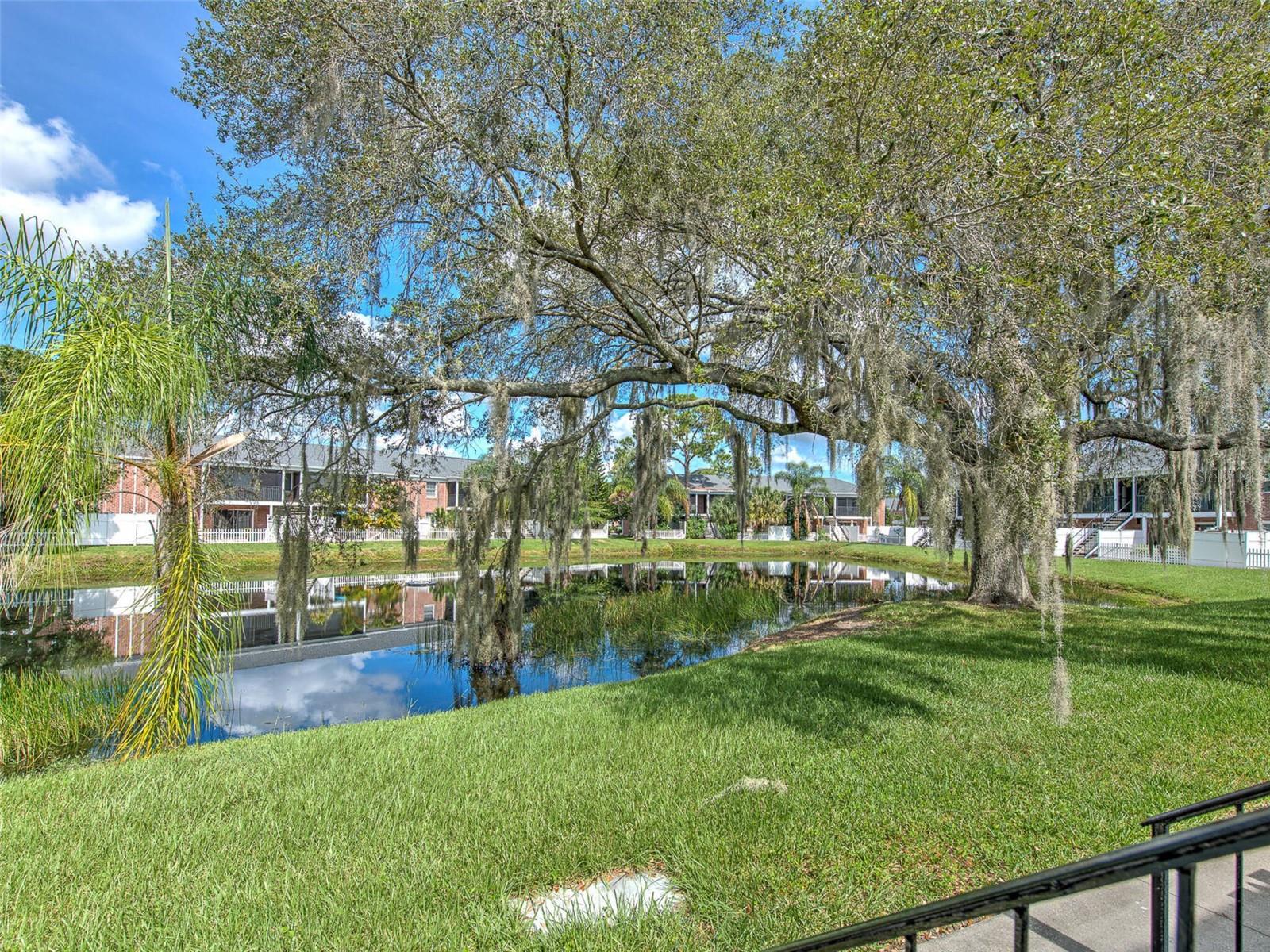 Image 15 of 56 For 13759 Orange Sunset Drive 201