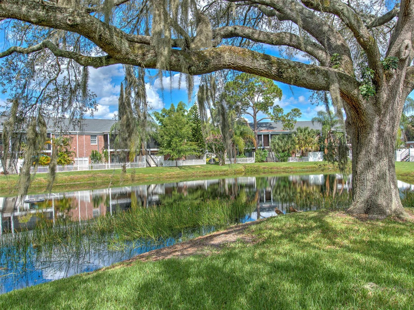 Image 6 of 56 For 13759 Orange Sunset Drive 201