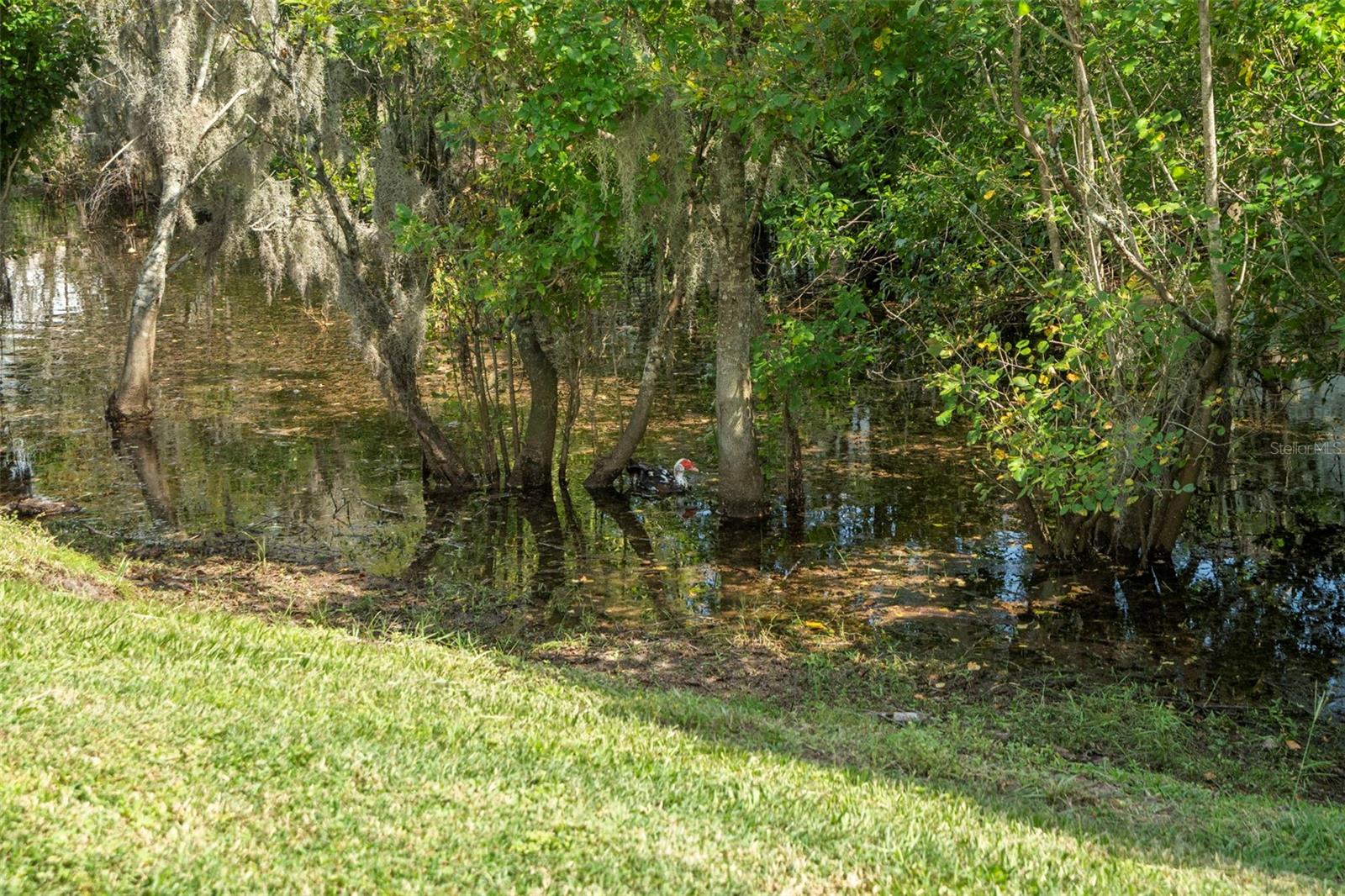 Image 41 of 43 For 9917 Ashburn Lake Drive