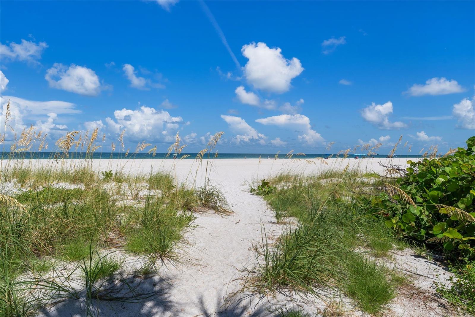 Details for 1390 Gulf Boulevard 302, CLEARWATER BEACH, FL 33767